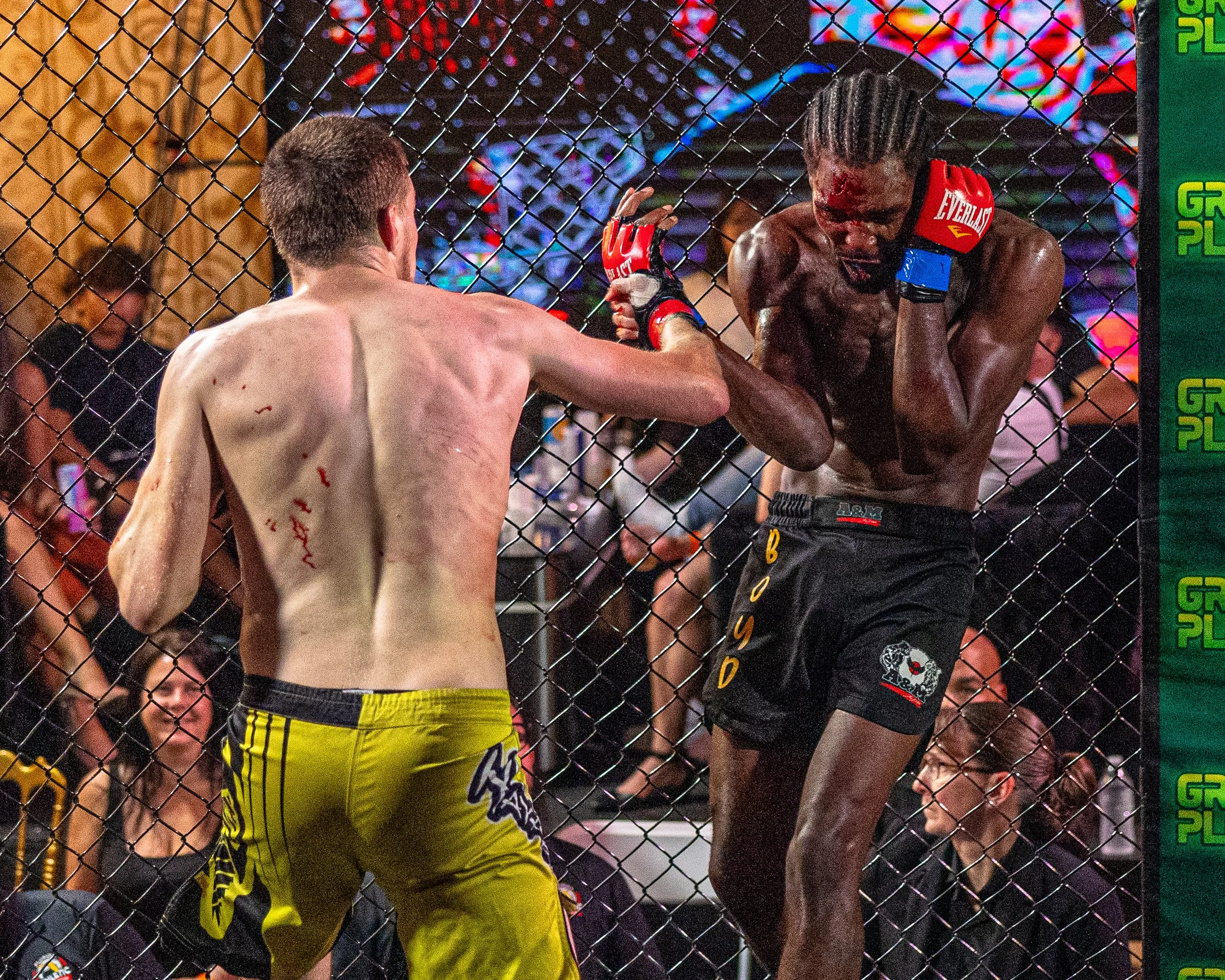 selects_FFS46_fightnight-5.JPG