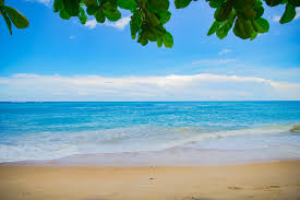 BEACHWEBSITE1.png