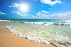 BEACHWEBSITE2.png