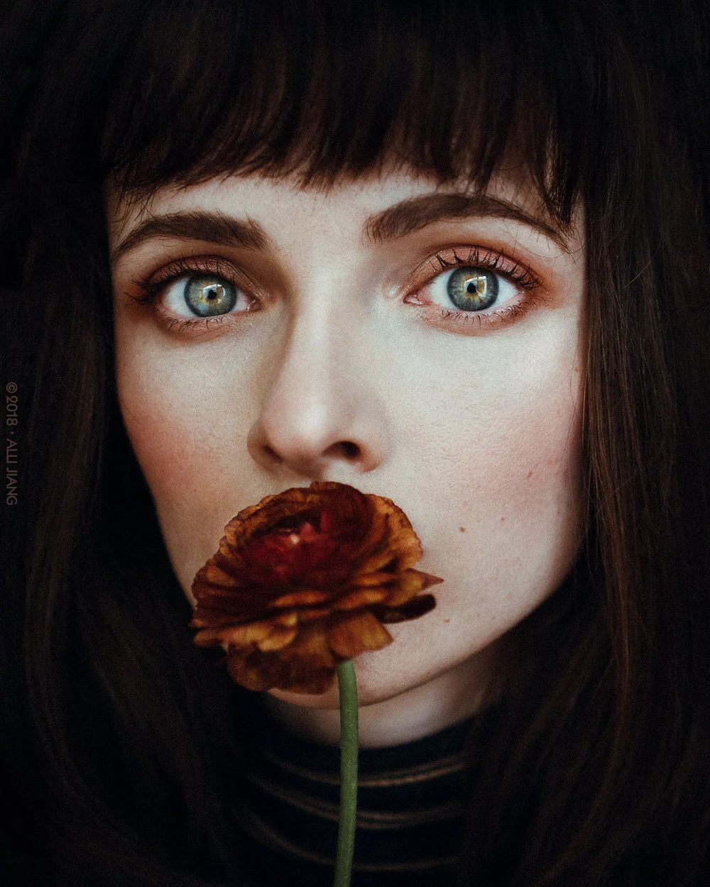 Dramatic close-up beauty portrait with a rose on a black background
