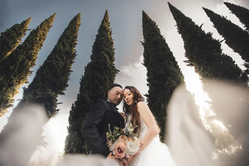 Bride and groom standing among tall cypress trees