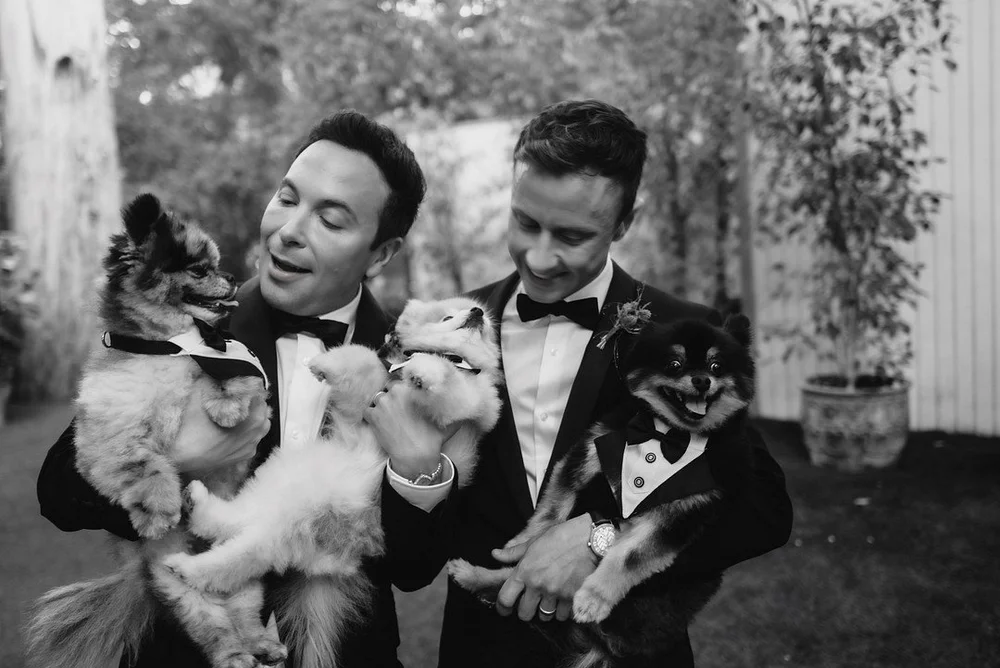 Same-sex wedding photographed by Lulan Studio