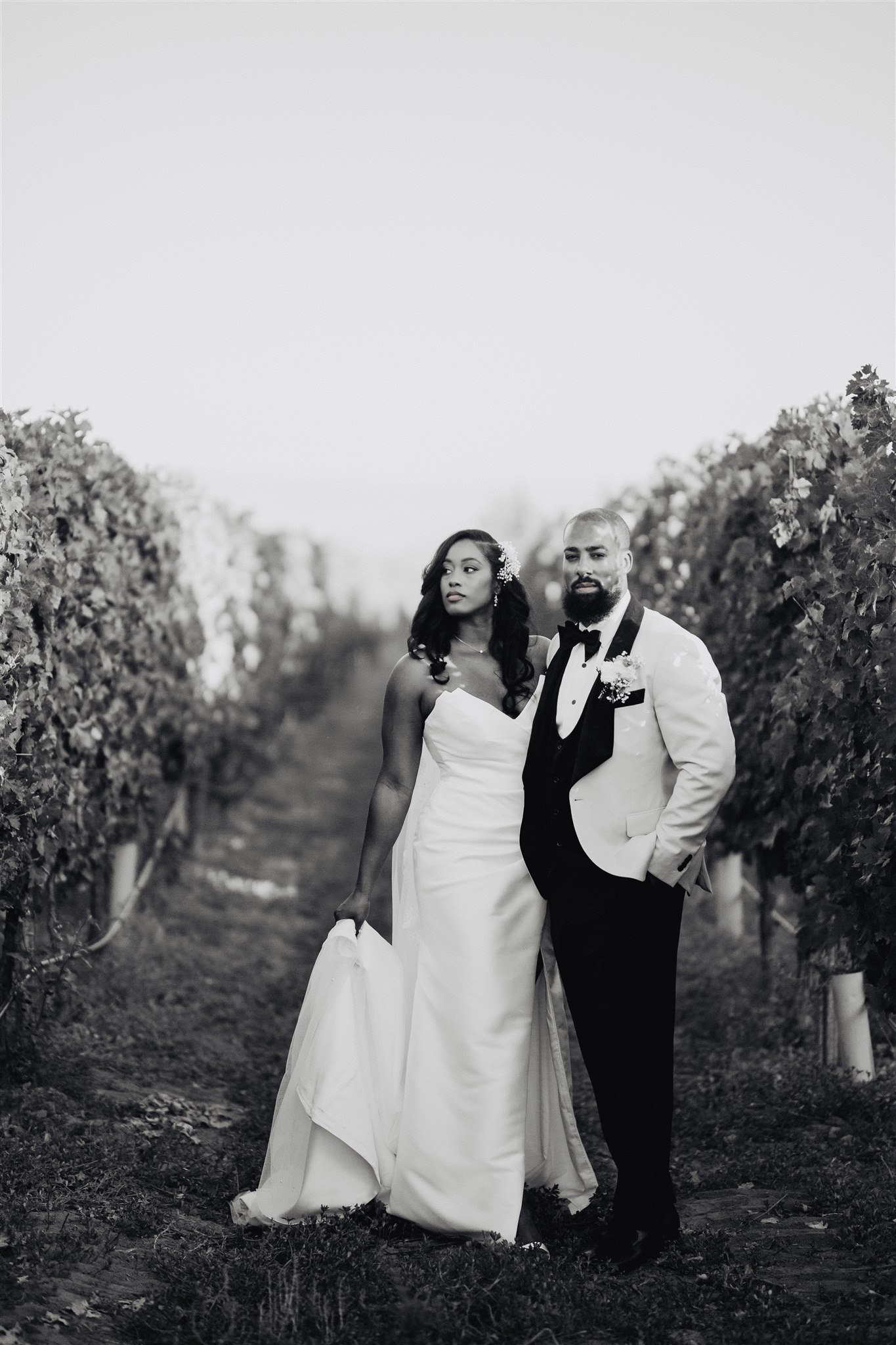 Bride &amp; Groom Portrait at Ponte Winery taken by Lulan Studio