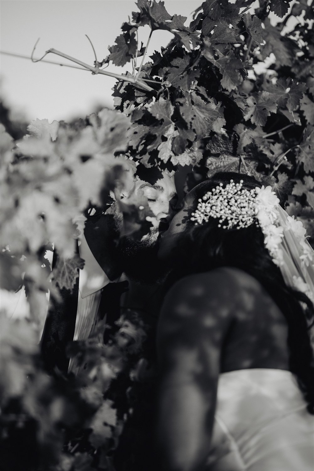 Bride &amp; Groom Portrait at Ponte Winery taken by Lulan Studio