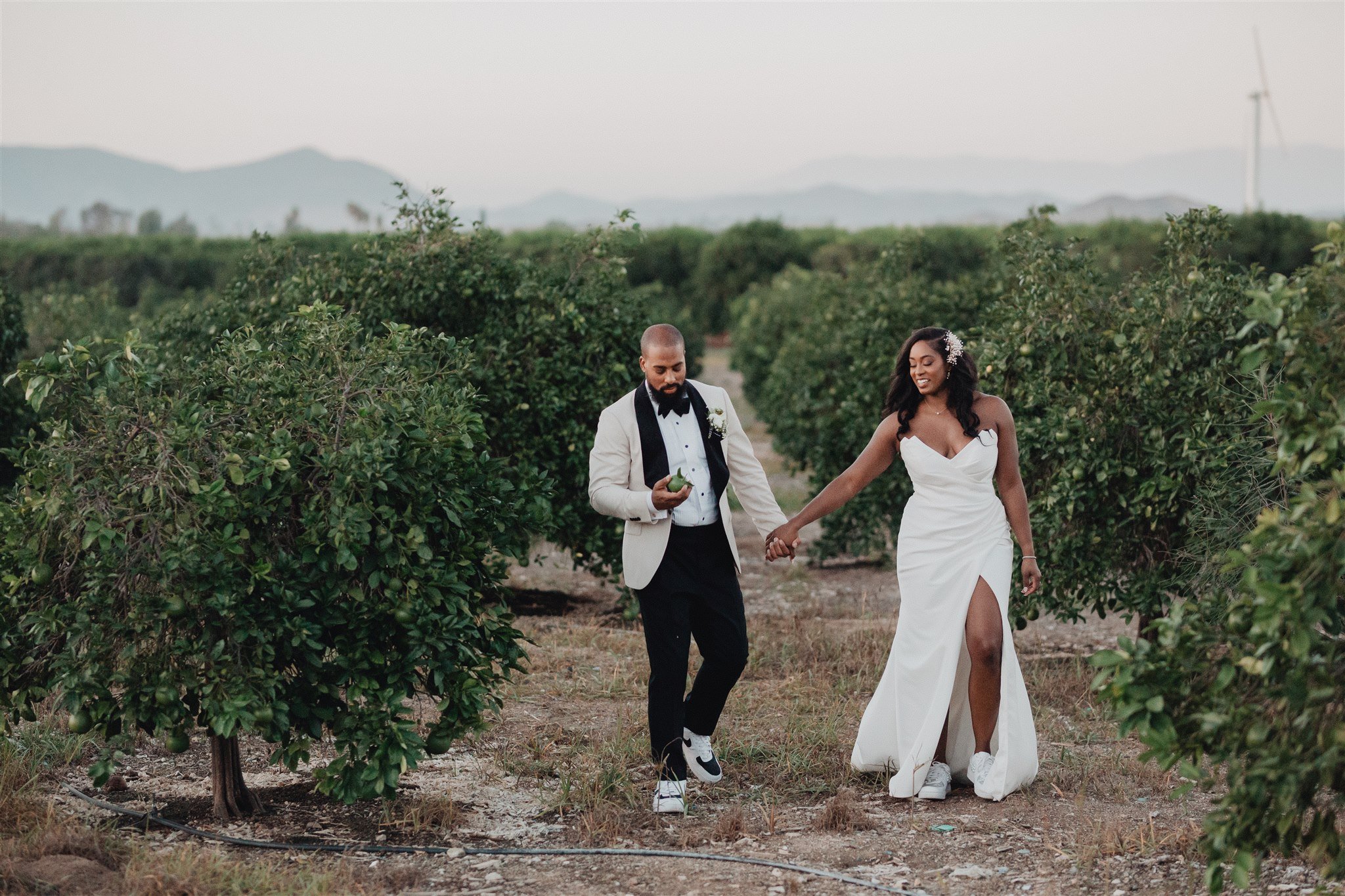 Bride &amp; Groom Portrait at Ponte Winery taken by Lulan Studio