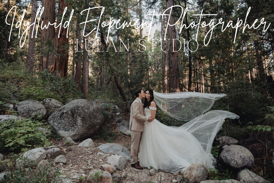 Idyllwild Elopement Photographer | Freewyld & San Jacinto Mtns