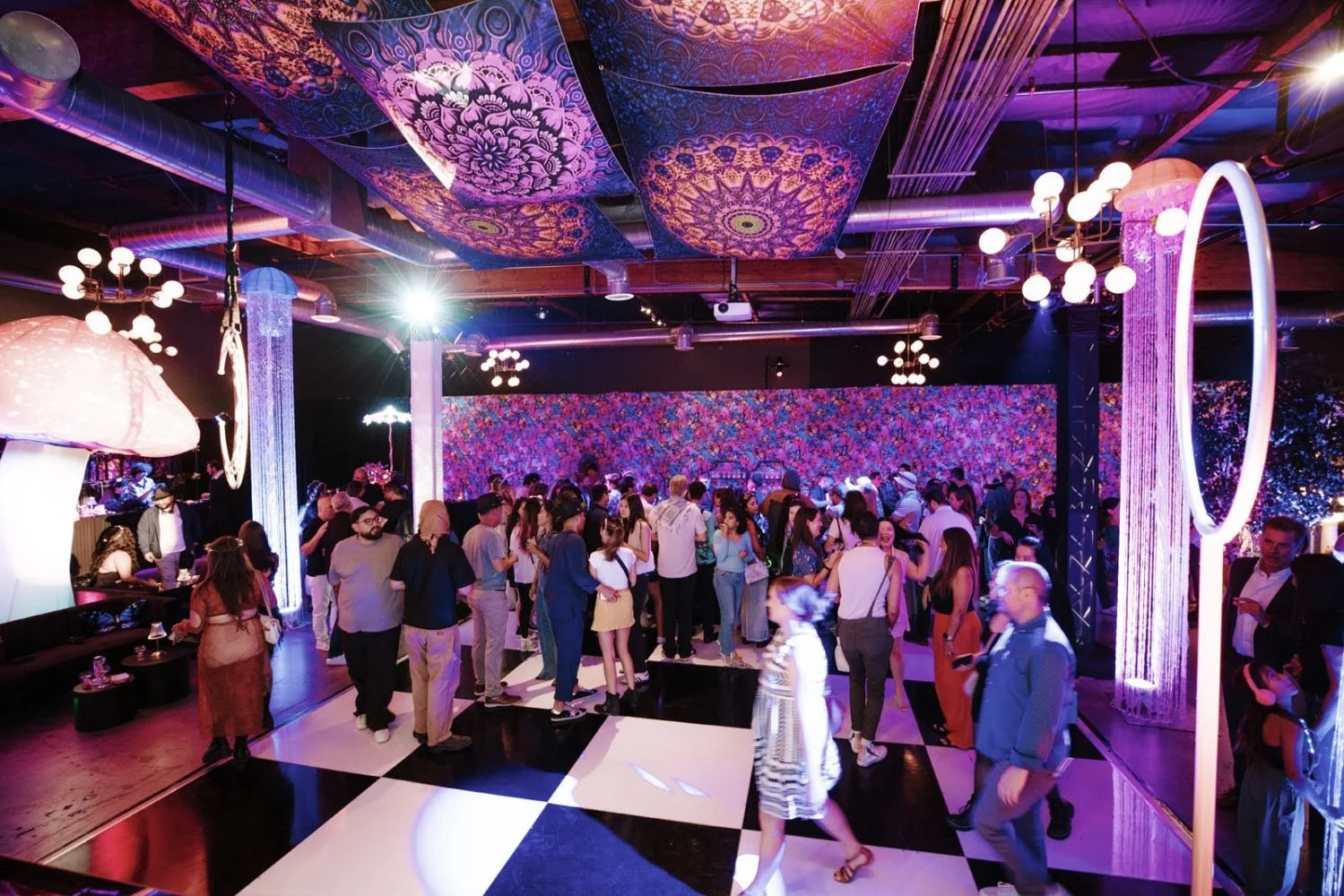 Company party with colourful lighting and a full dance floor