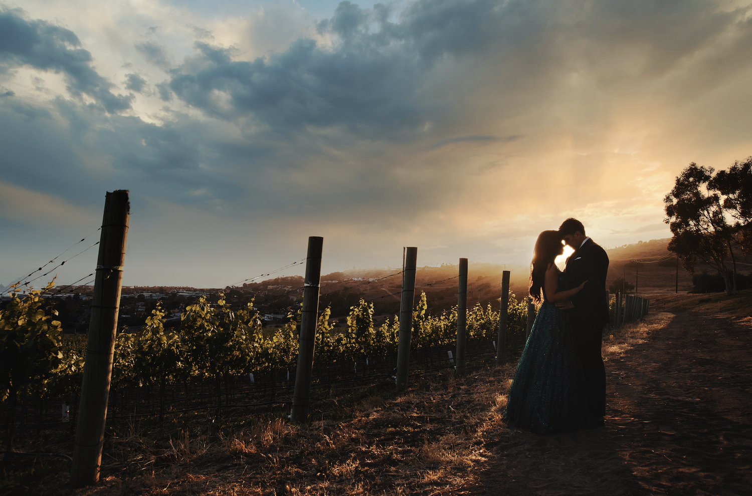 Catalina View Gardens wedding