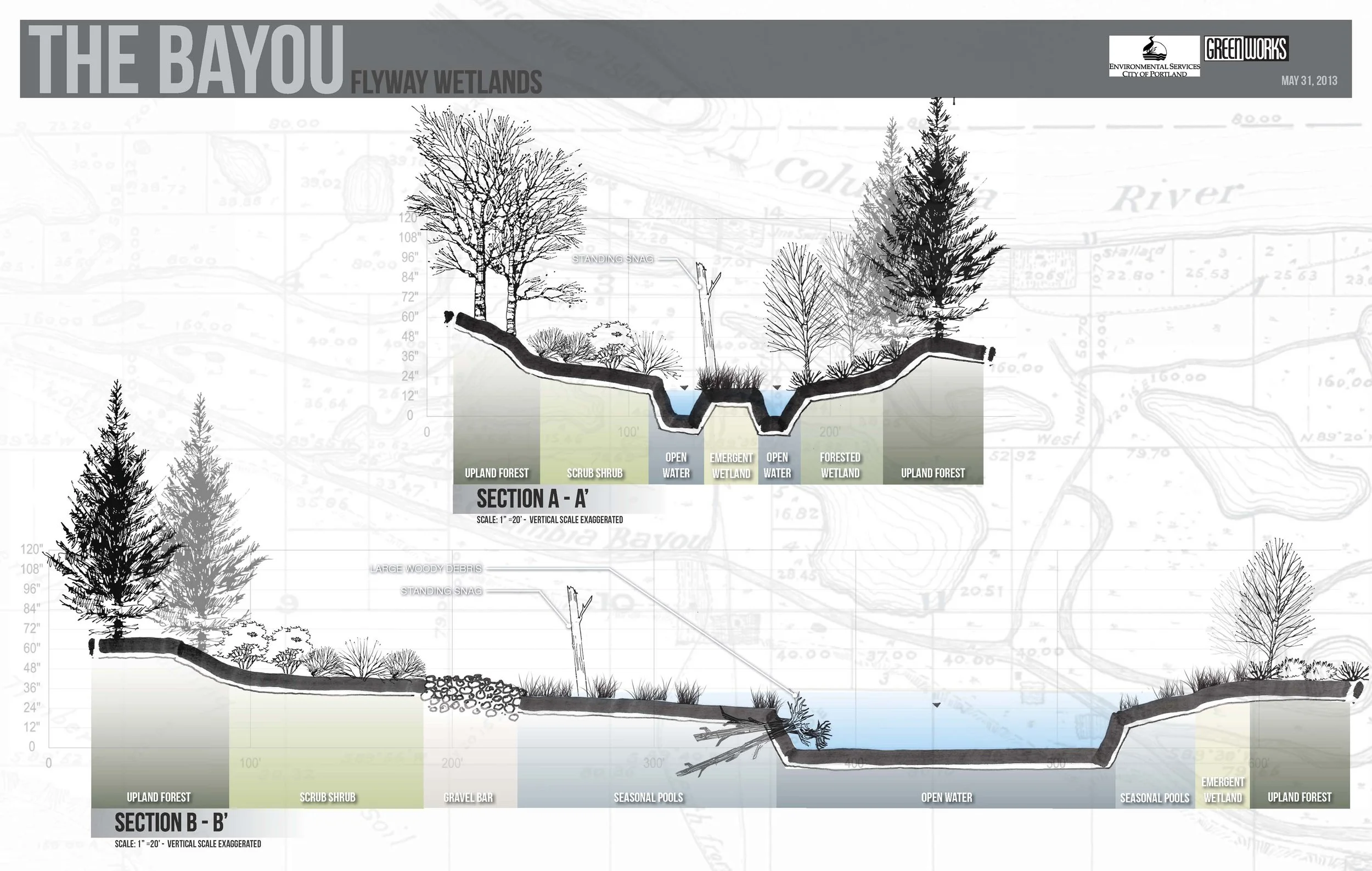 Flyway_Wetlands_Sections_Bayou.jpg