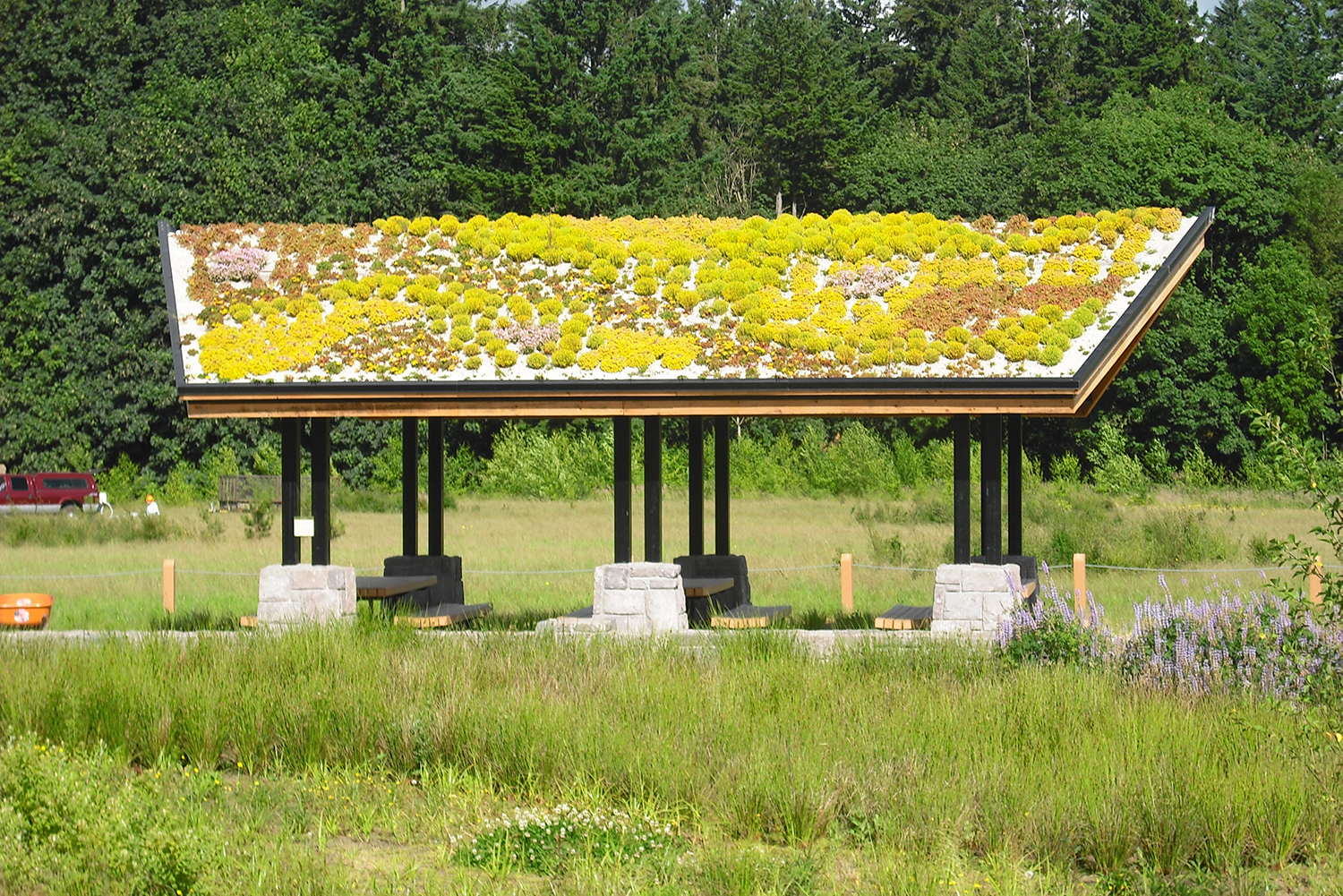 grahamoakspark_website_062118_03.jpg
