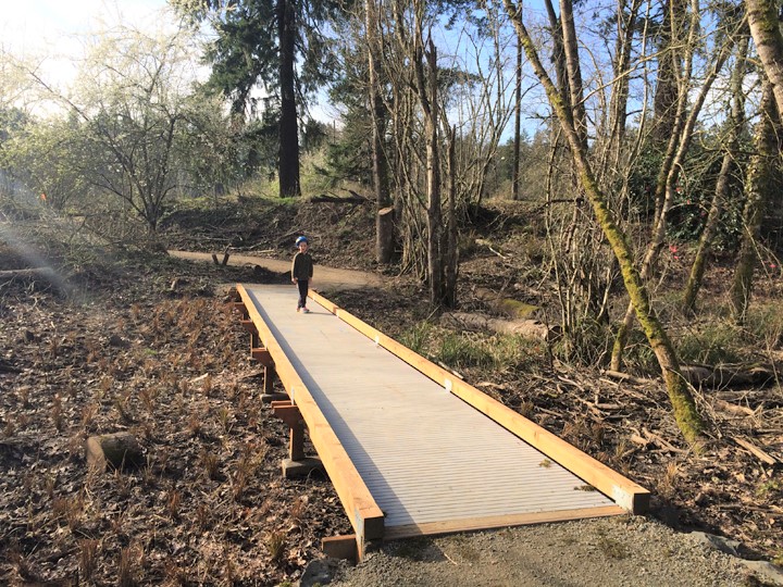 Spring_Park_Boardwalk_reduced.jpg