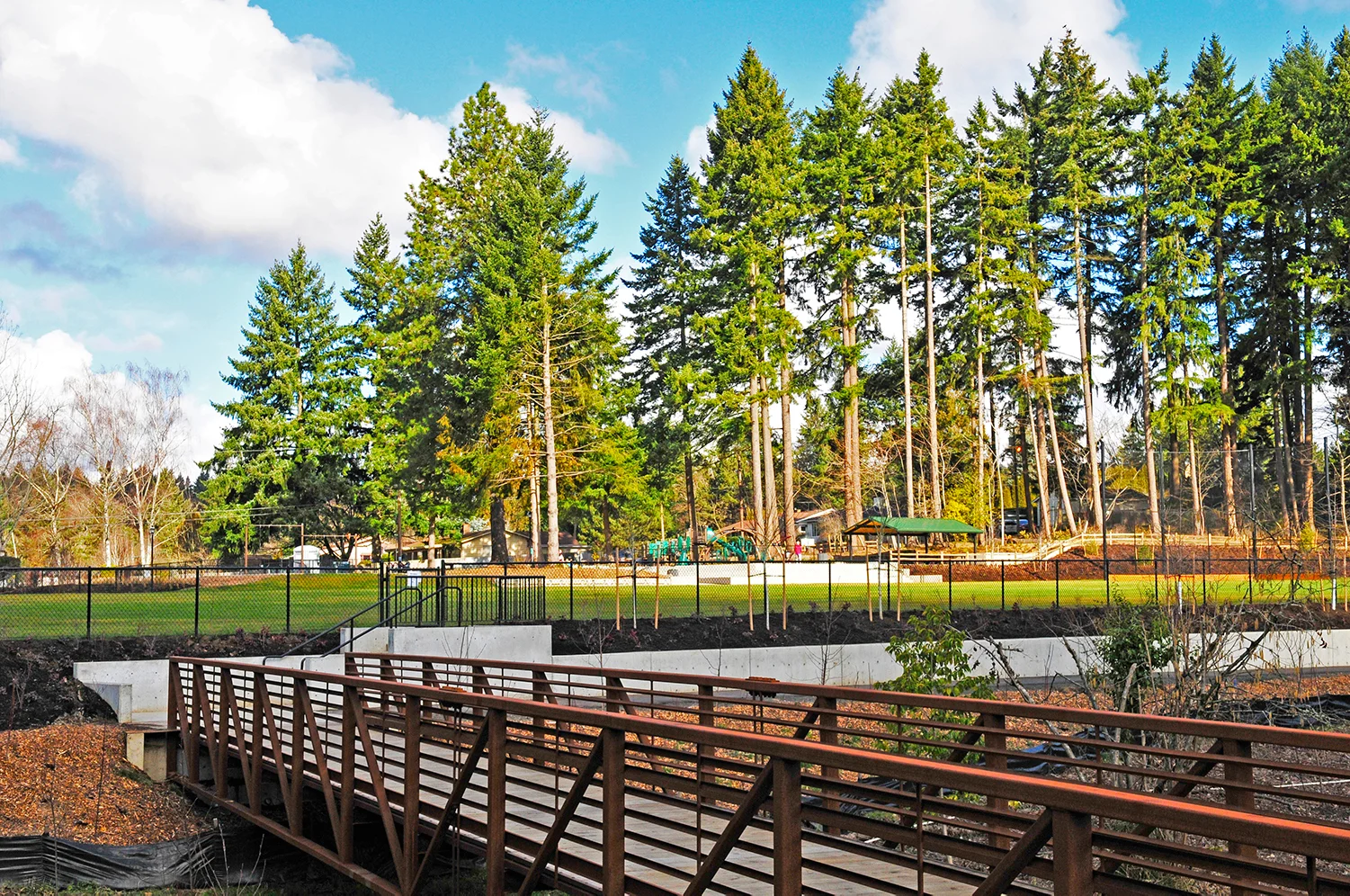 AM Kennedy Park_reduced.jpg