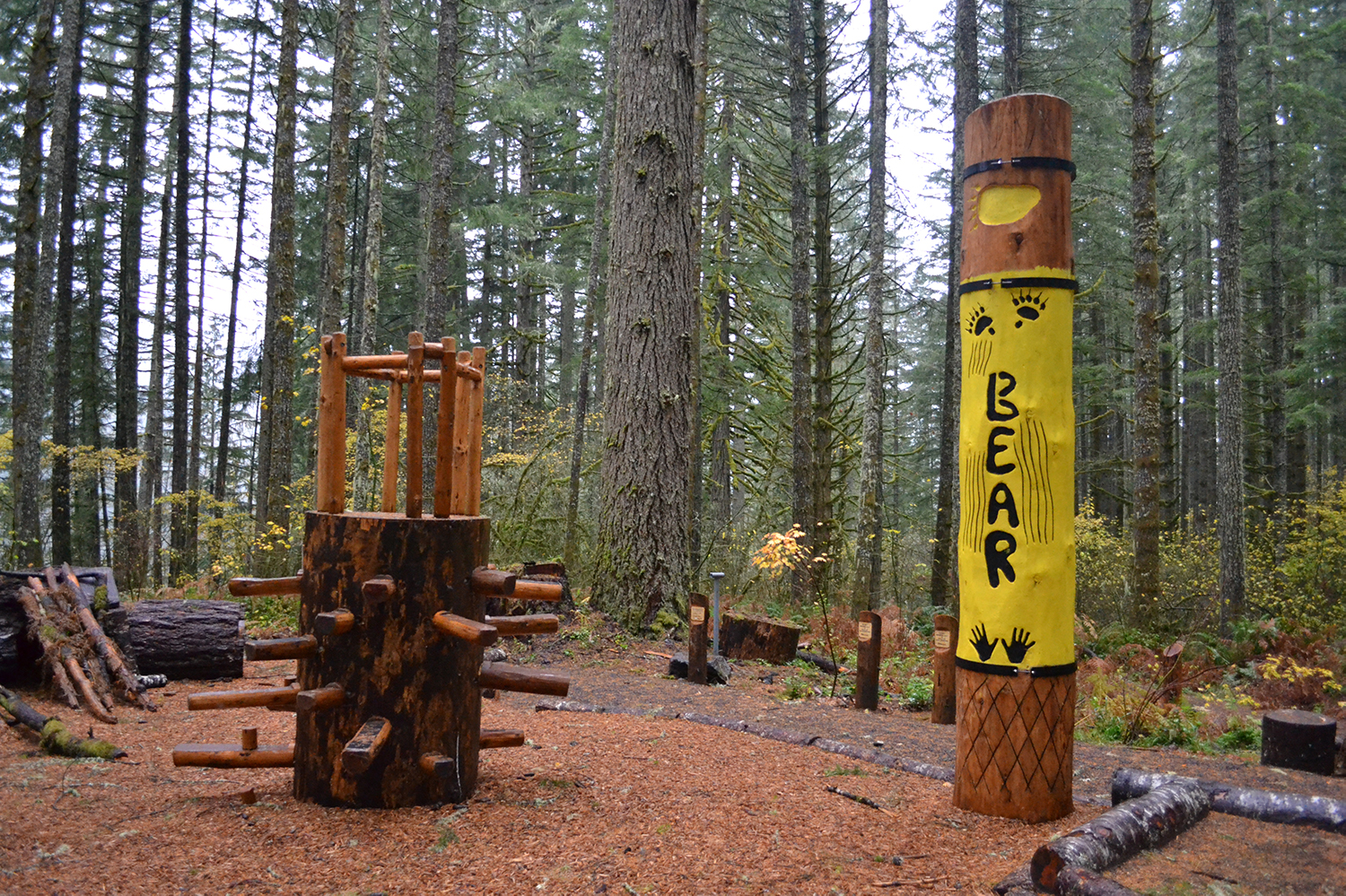 Silver Falls State Park: North Canyon Nature Play Area - Learning