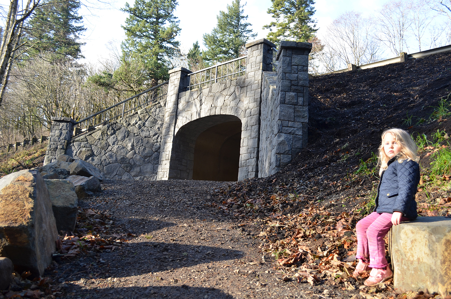 DSC_0767-edited_reduced.jpg