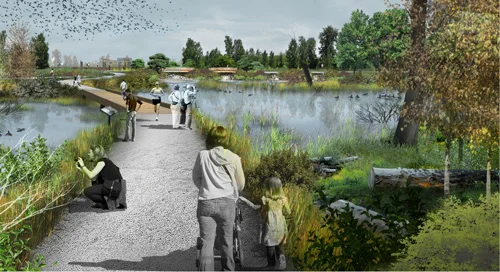 Fernhill_Wetland.jpg