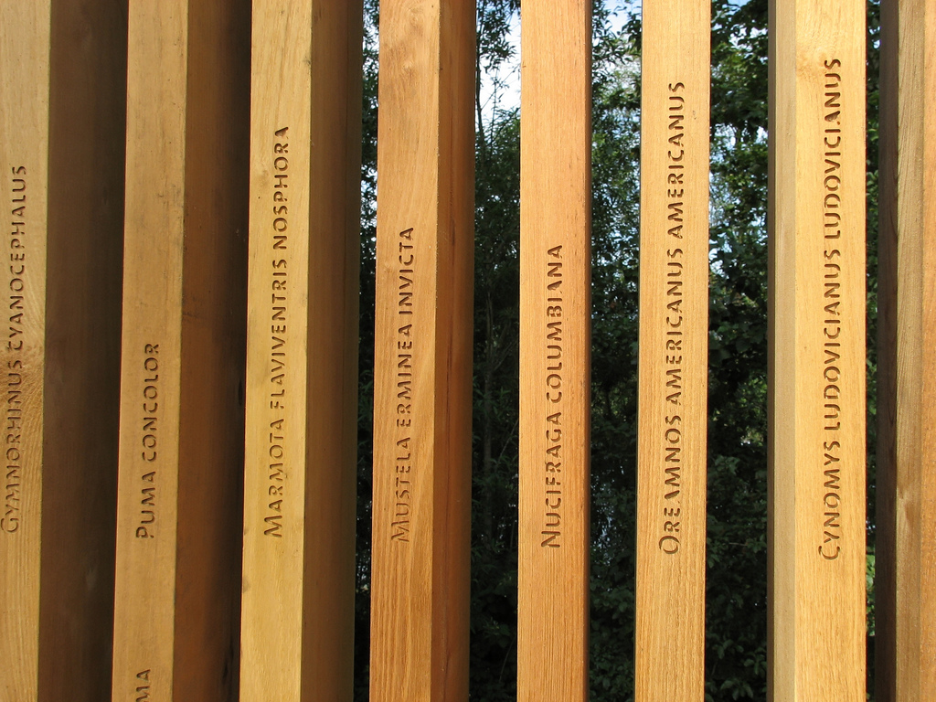 2808730787_12b0dbc1c7_bird blind 3.jpg