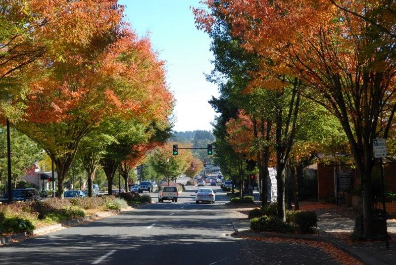 LakeOswego__demostreet.jpg