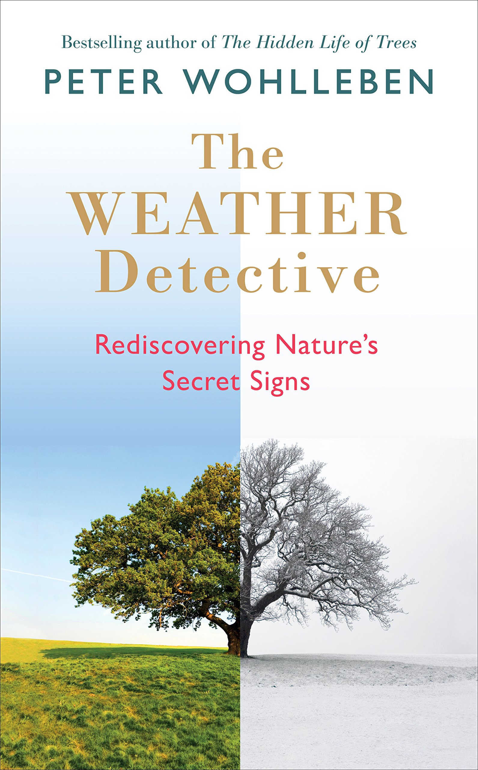 The Weather Detective.jpg