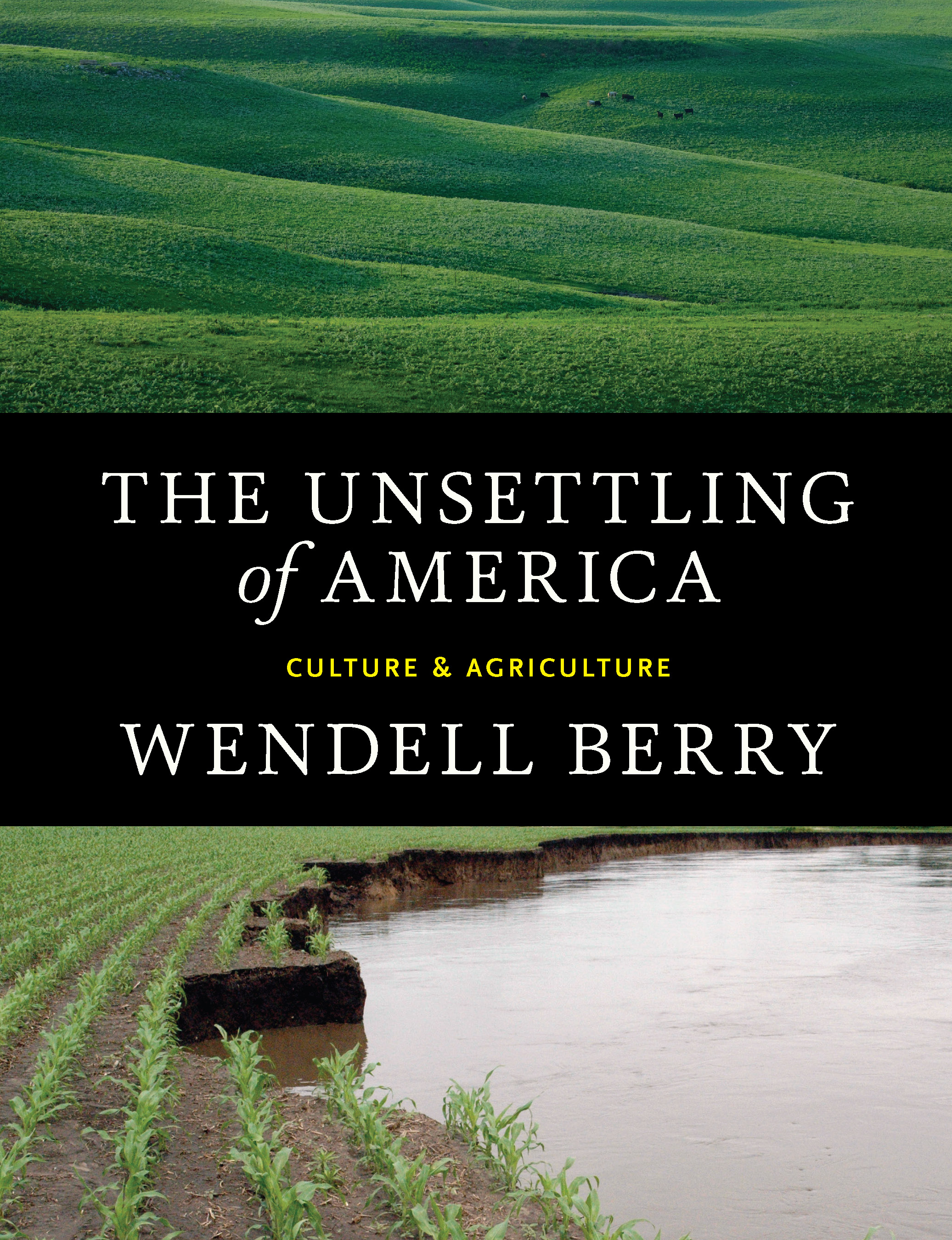 4 The Unsettling of America.jpg