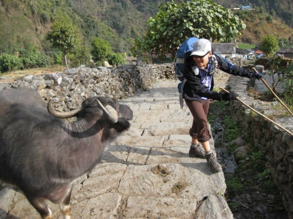 An eager new friend made while hiking the Annapurna Circuit in Nepal