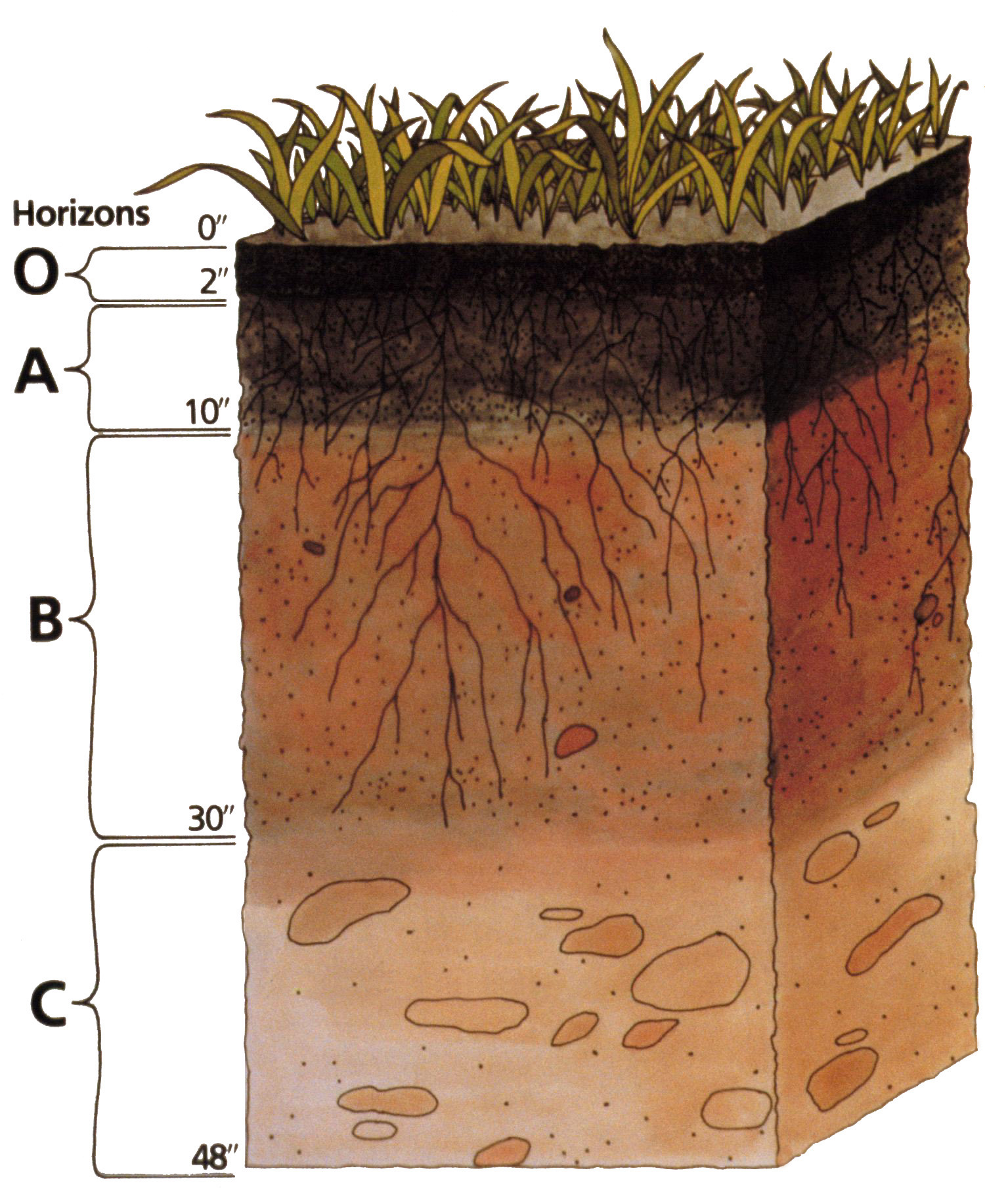 Soil_profile.png