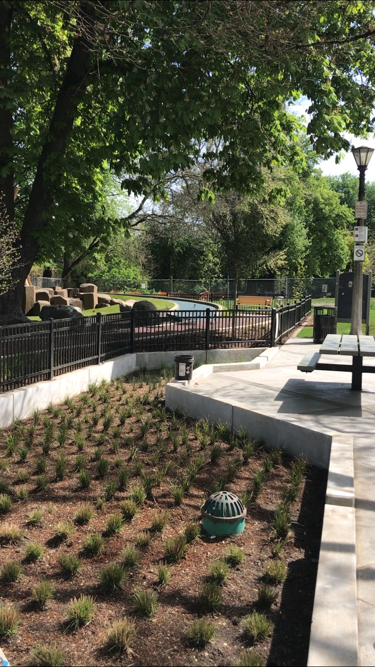 Couch Park Plaza with Bioswale and Surrounding Fence