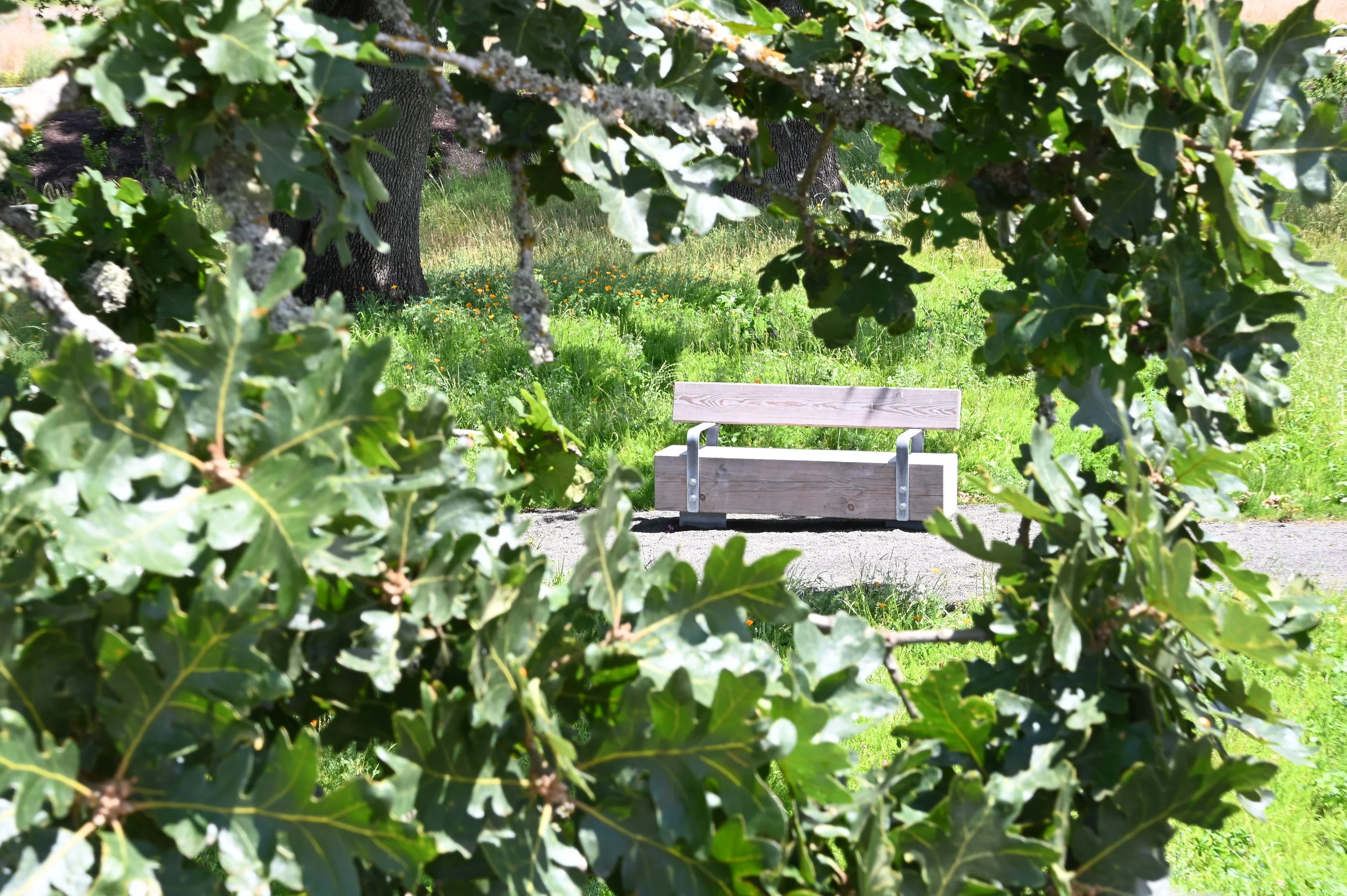 Reed's Crossing — GreenWorks People + Nature by Design