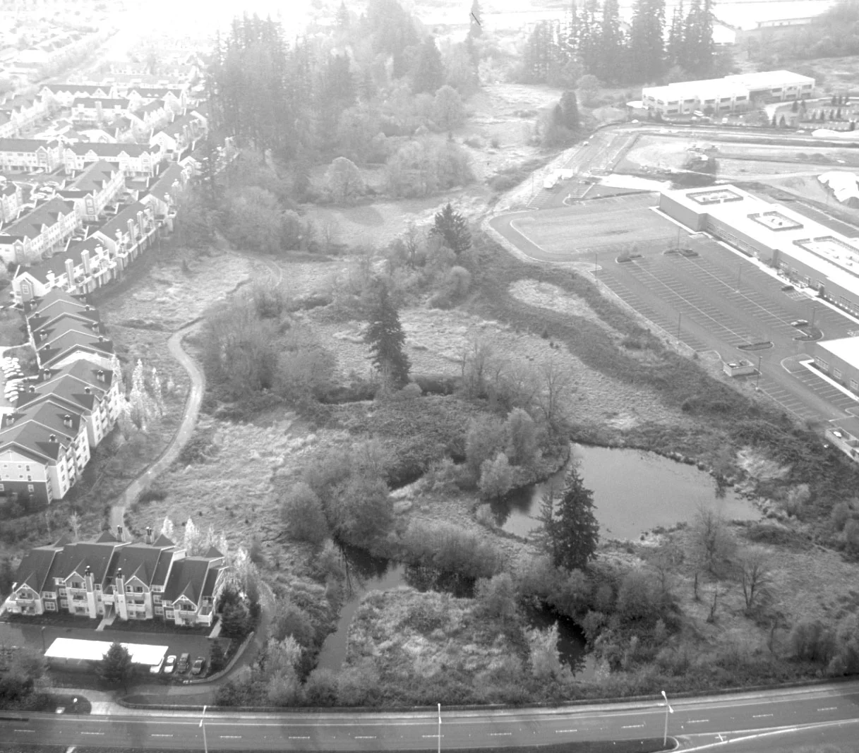 black and white image from airplane, ponds and stream amidst track homes