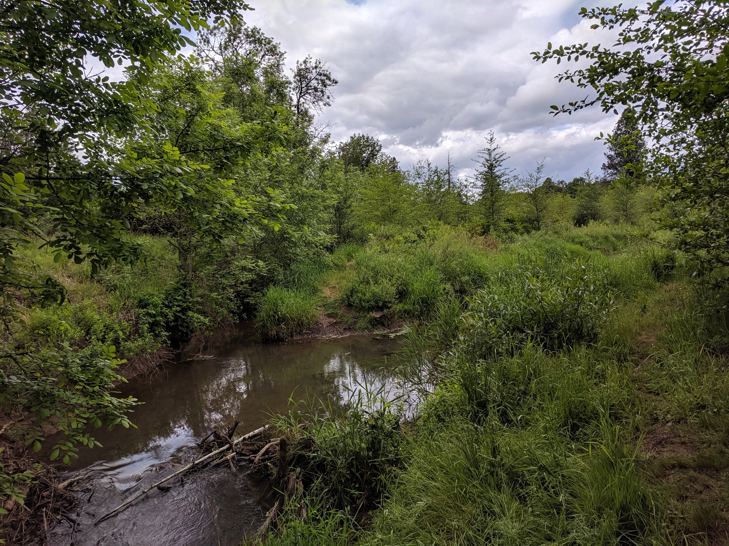 creek flowing through battle creek park on cloudy day