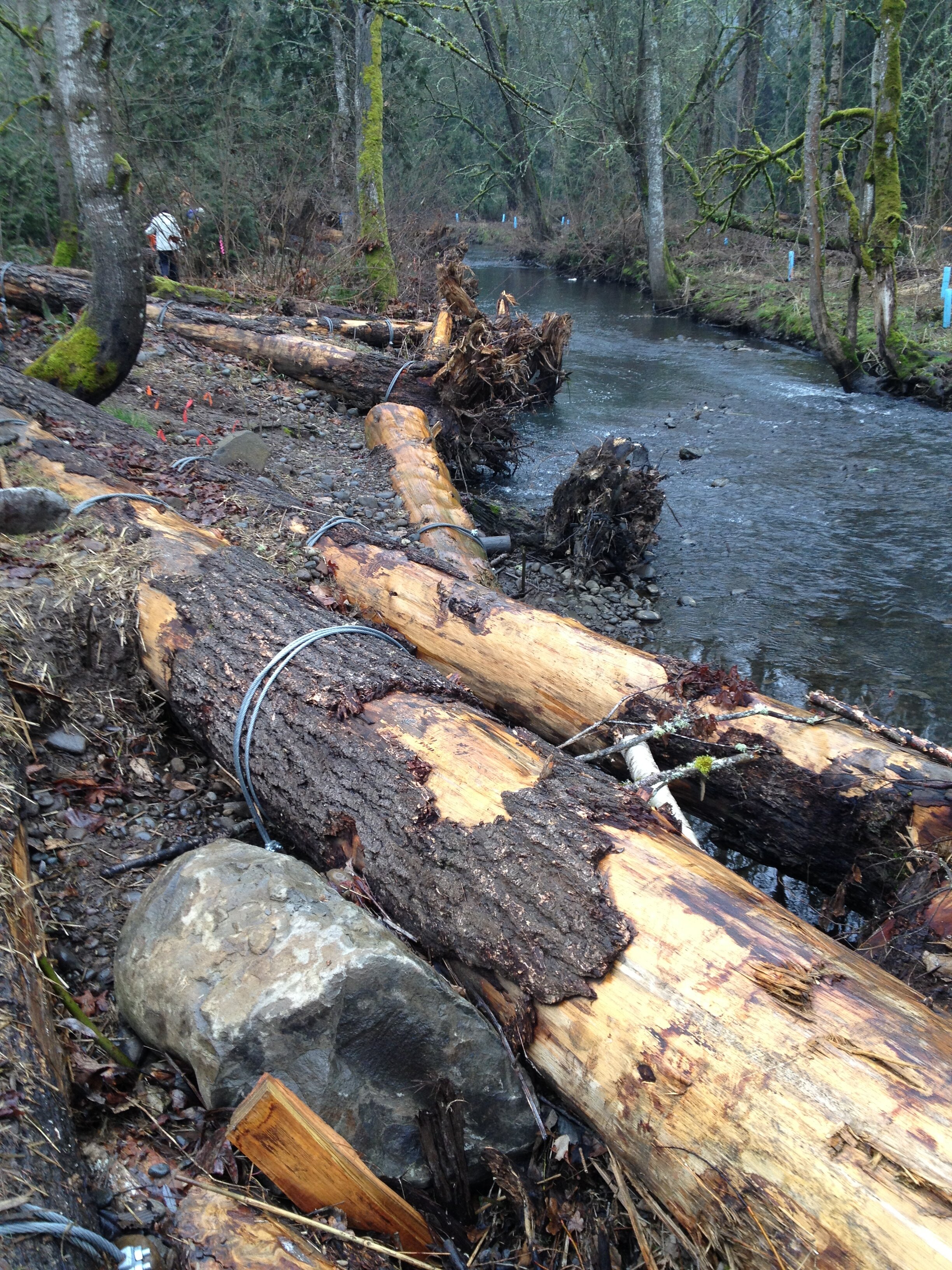logs fortifying stream bank at my scott creek restoration 