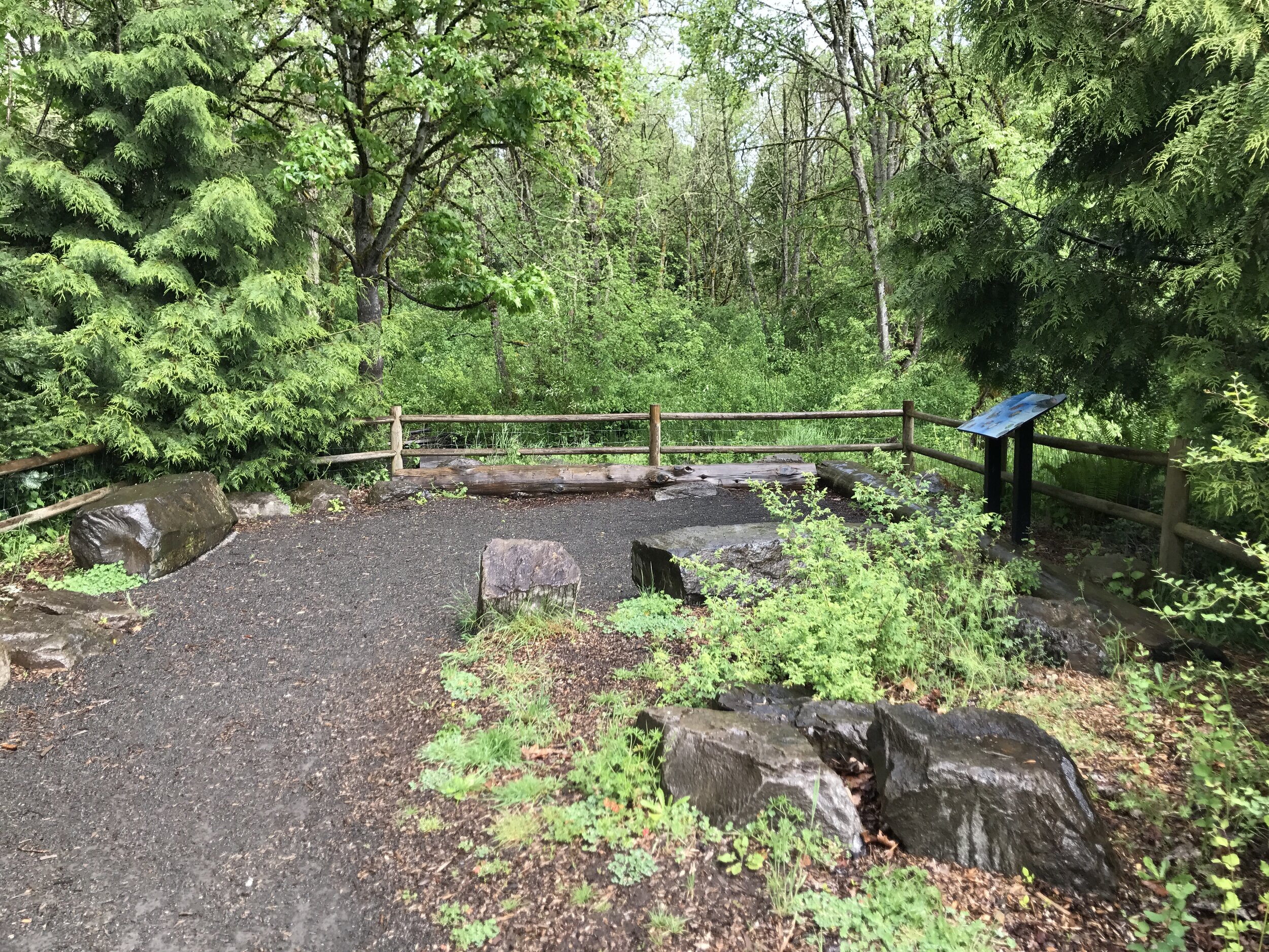 trail leading to viewpoint of mt. scott creek under foggy skies