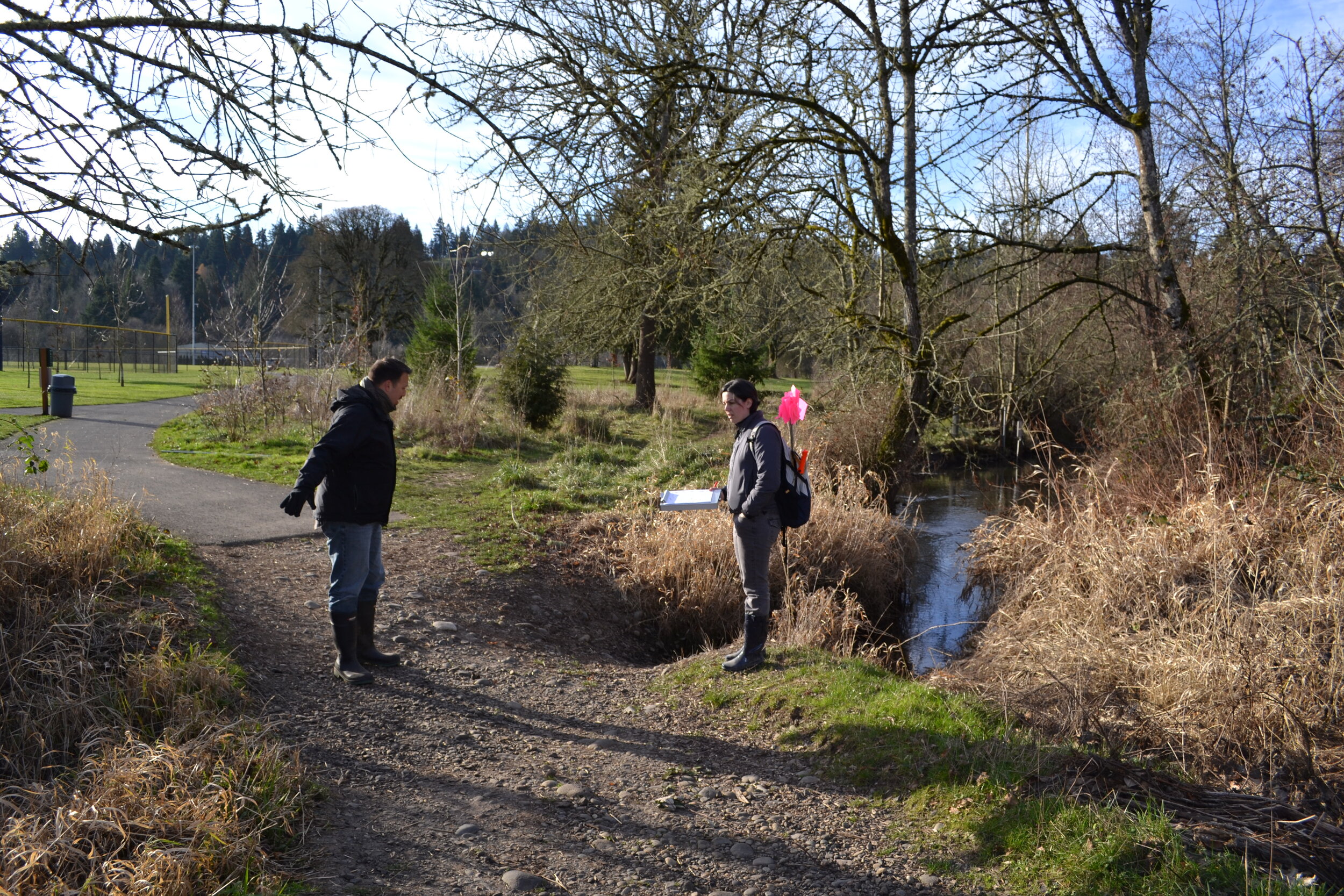 landscape architects survey a trail near mt. scott creek