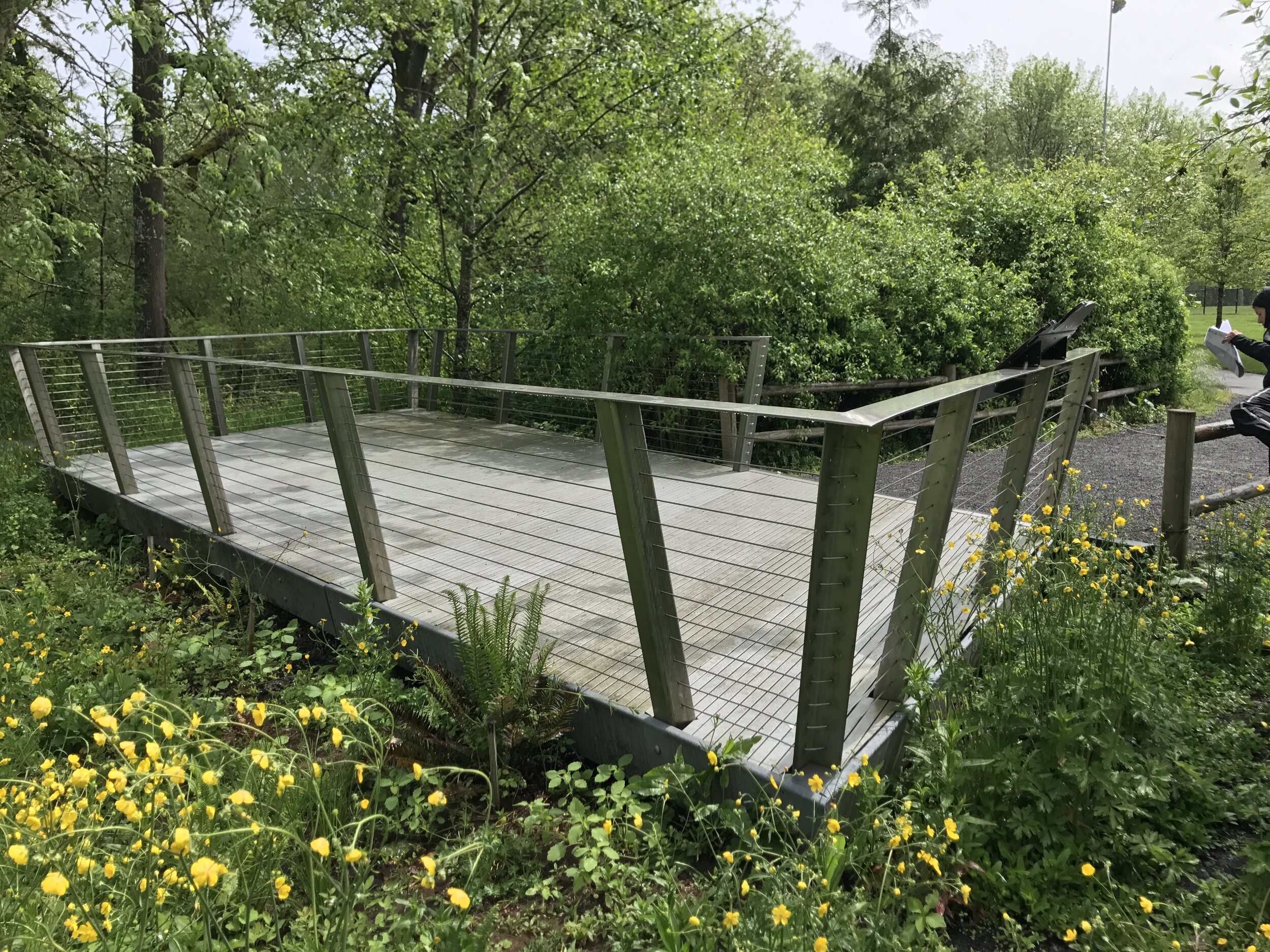 angled railing at viewpoint overlook, blooming flowers surrounding 