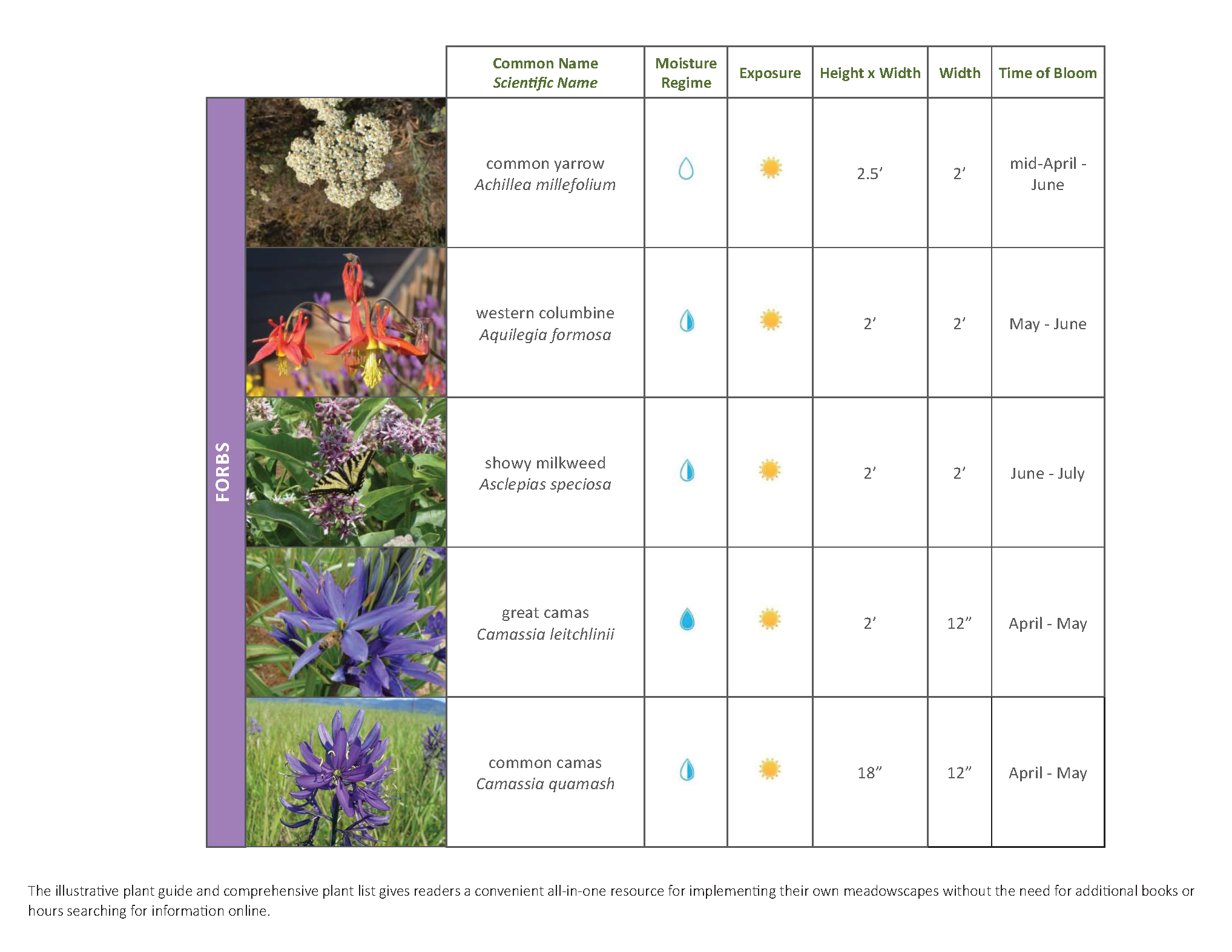 The Meadowscaping Handbook_Images_Page_9.png