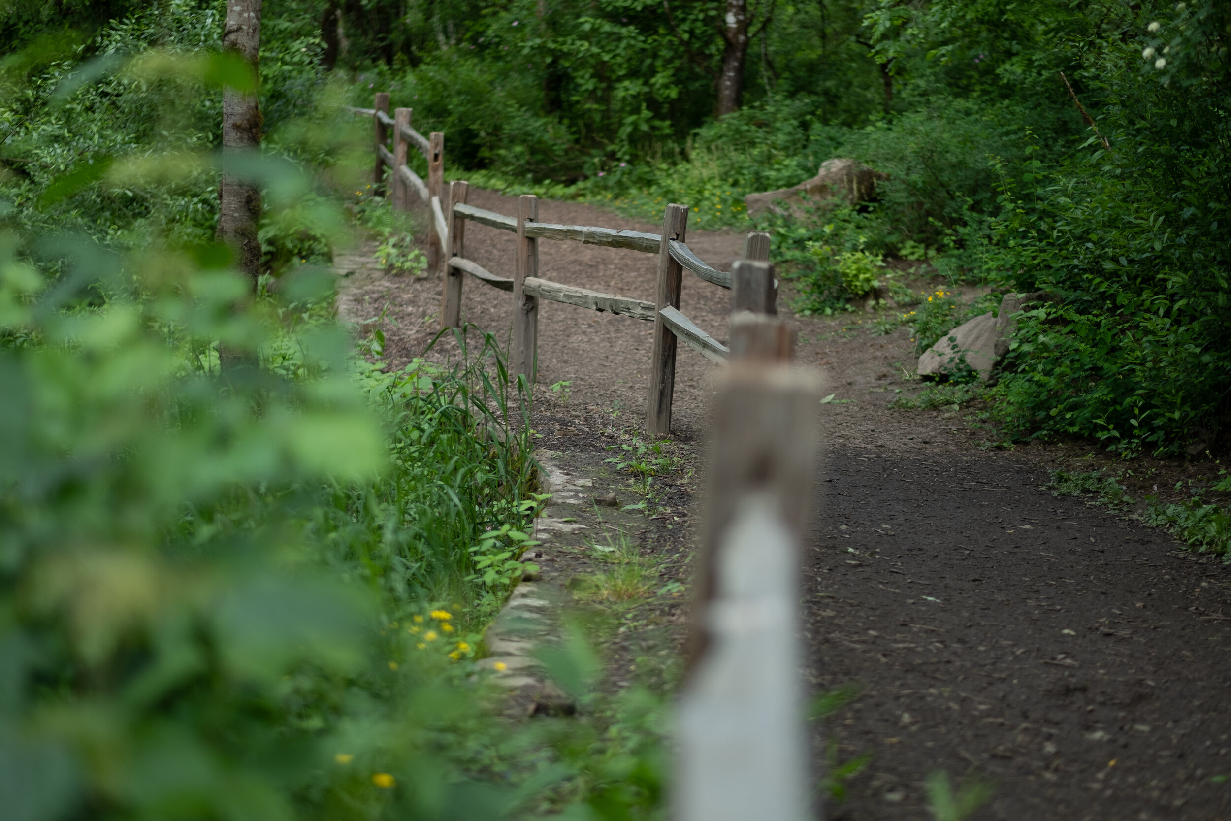 Noble_Woods_Park_Wood_Fence_Trail.jpg