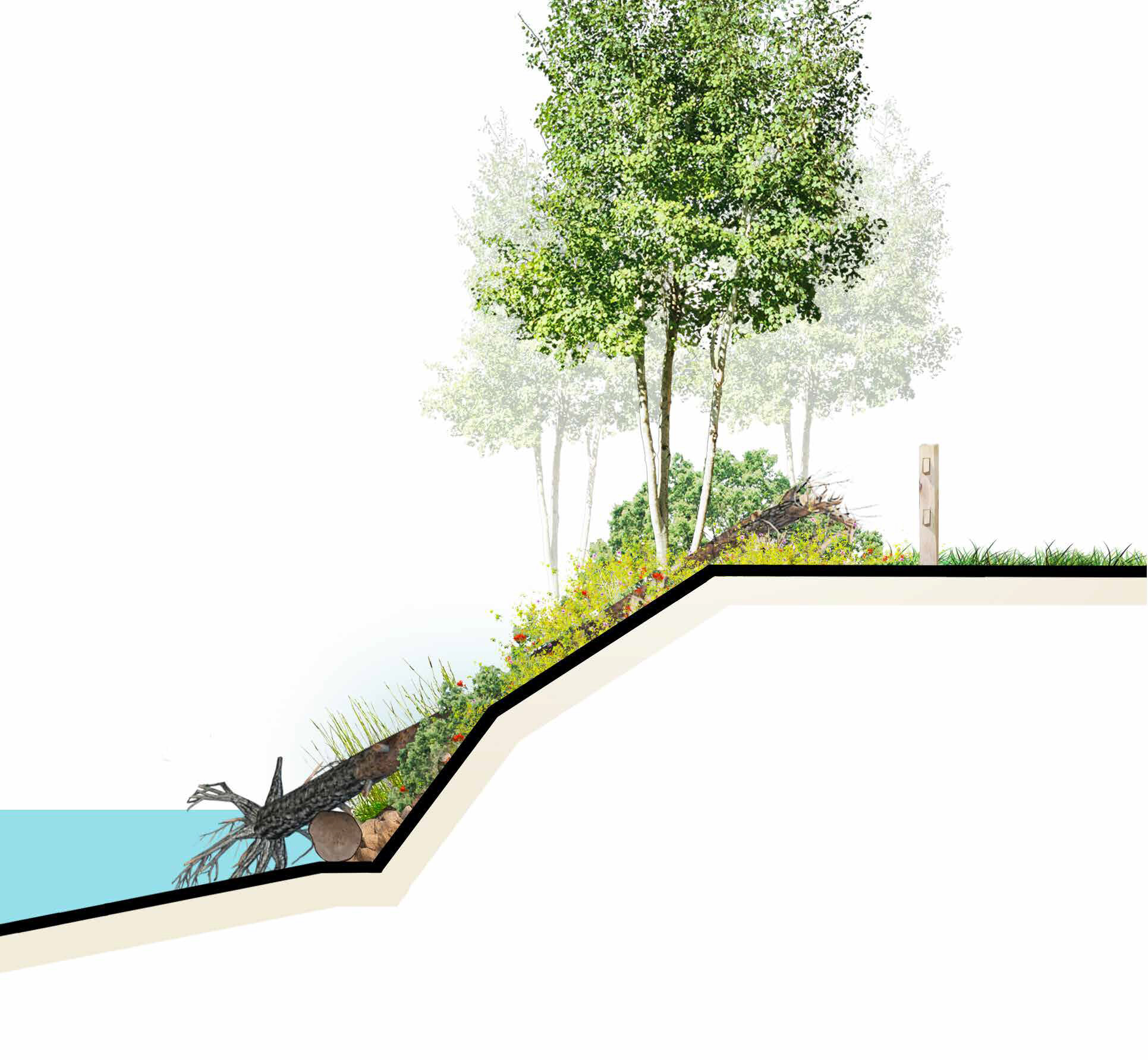 Deconstruct wall, add large wood with root wad attached to create riparian habitat (10-20' width)