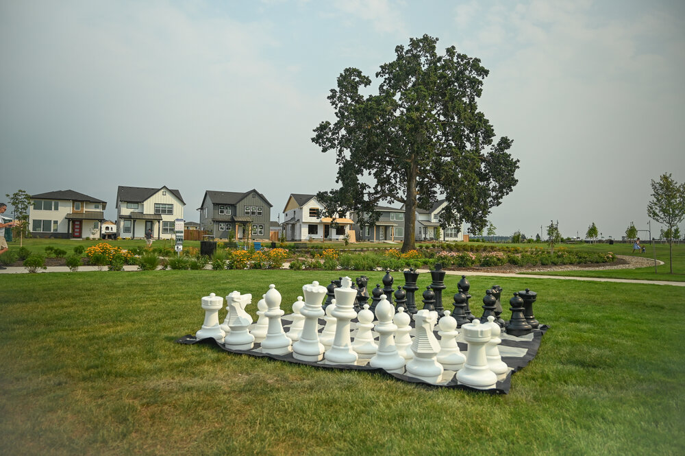 Tamarack_Park_Opening_GreenWorks_Large_Chess_Oak_Landscape.jpg