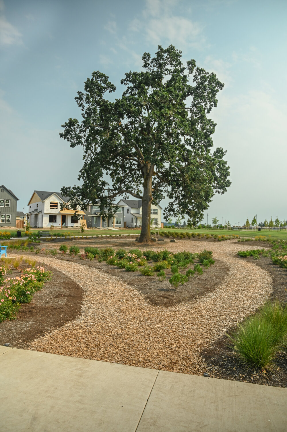 Tamarack_Park_Opening_GreenWorks_Oak_Tree_Pathways.jpg