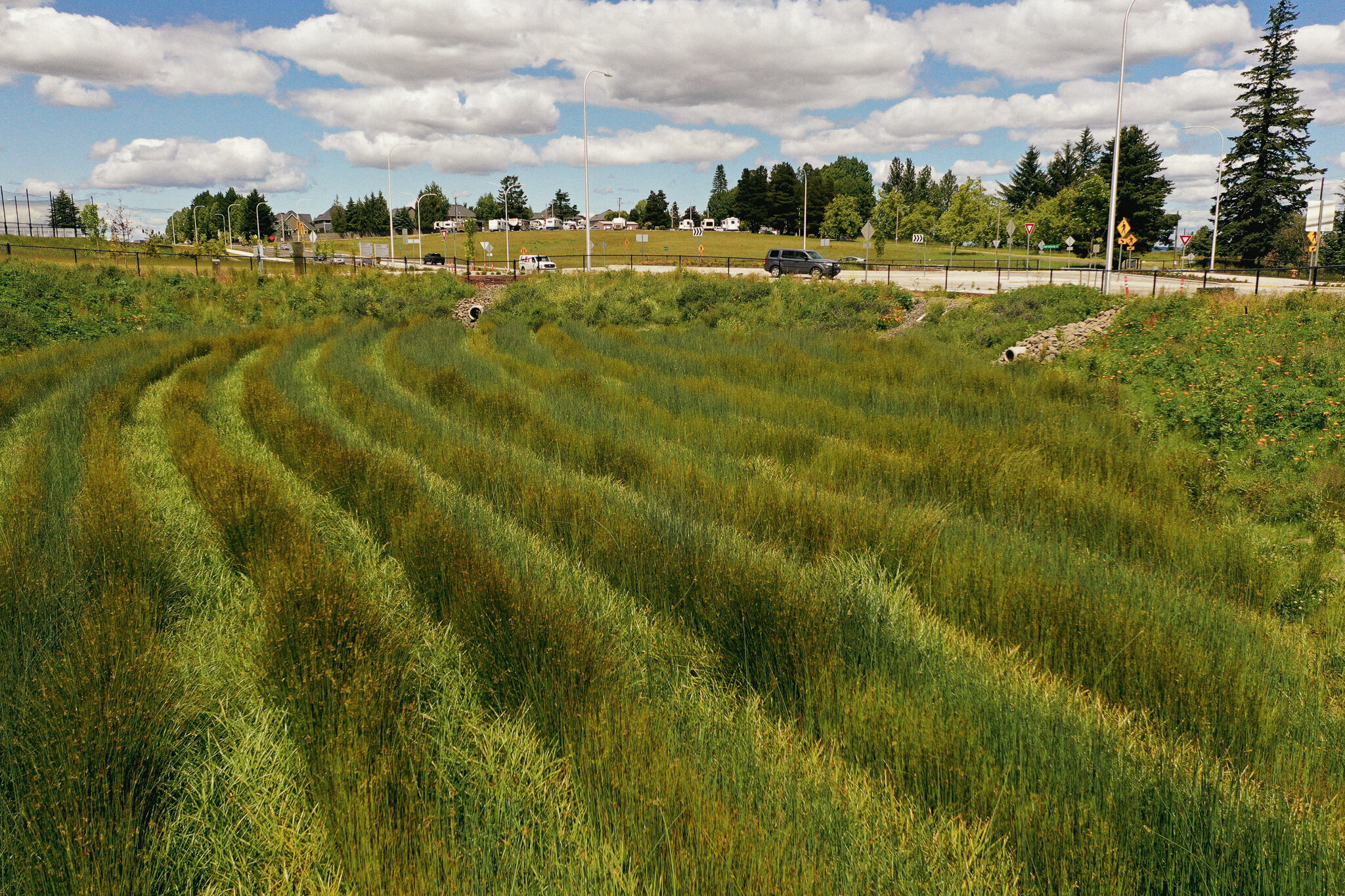 Elwert_Kruger_Roundabout_Sherwood_Oregon_Intersection_GreenWorks_Plantings_Parallel_Lines_2.jpg