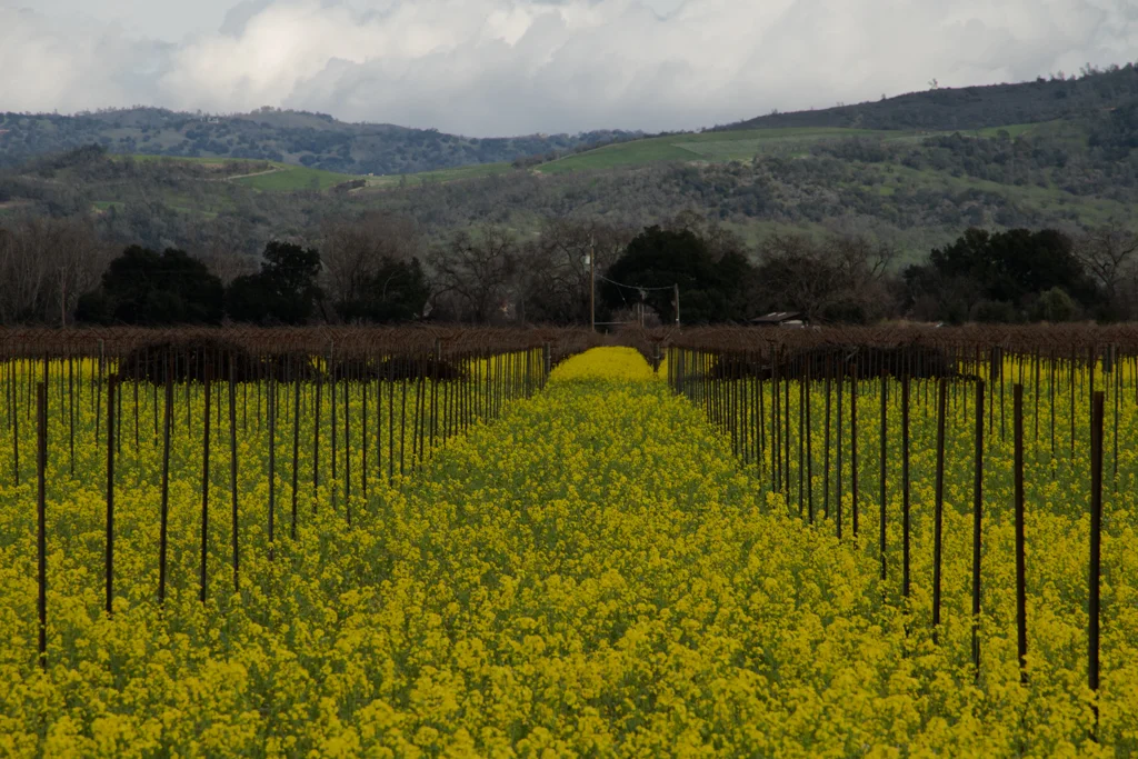 Personalized Services