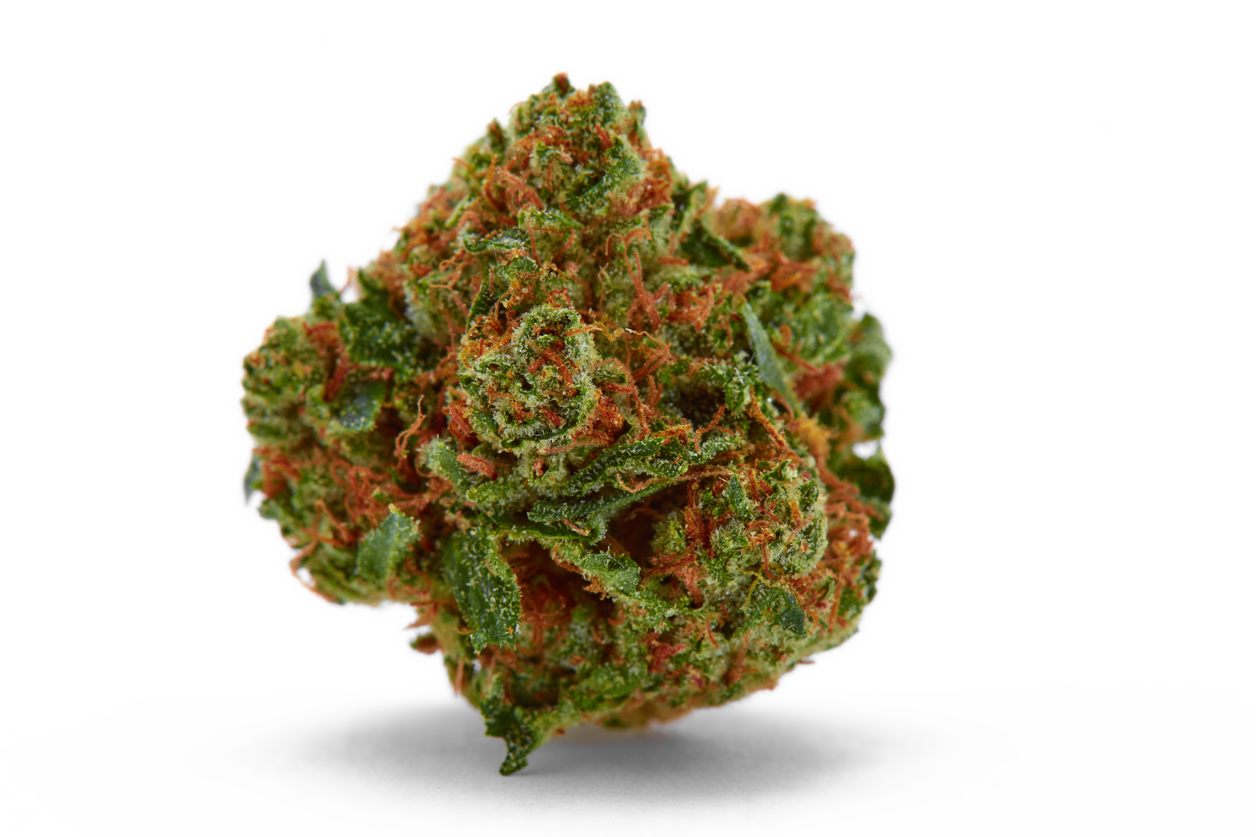 Wholesale Flower / Prepacked or Bulk