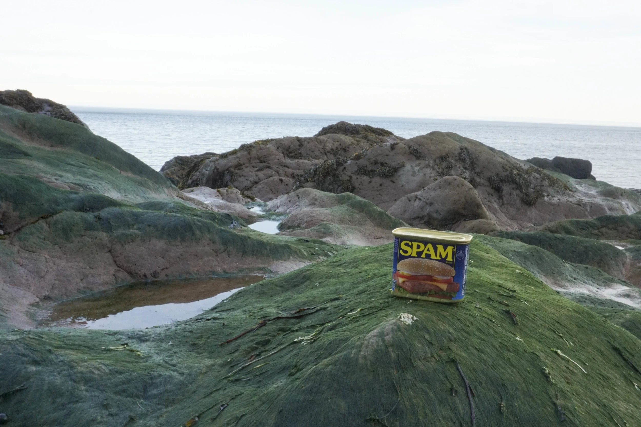 Matt Groh and Ziv Epstein (American). 2017. 15 Digital Photographies, 34 3/4 × 43 5/8ʺ (88.3 × 110.8 cm). Pepe Baisa endowment for the advancement of machine-learning free media © 2017 Walter Benjamin Museum of Spam Art