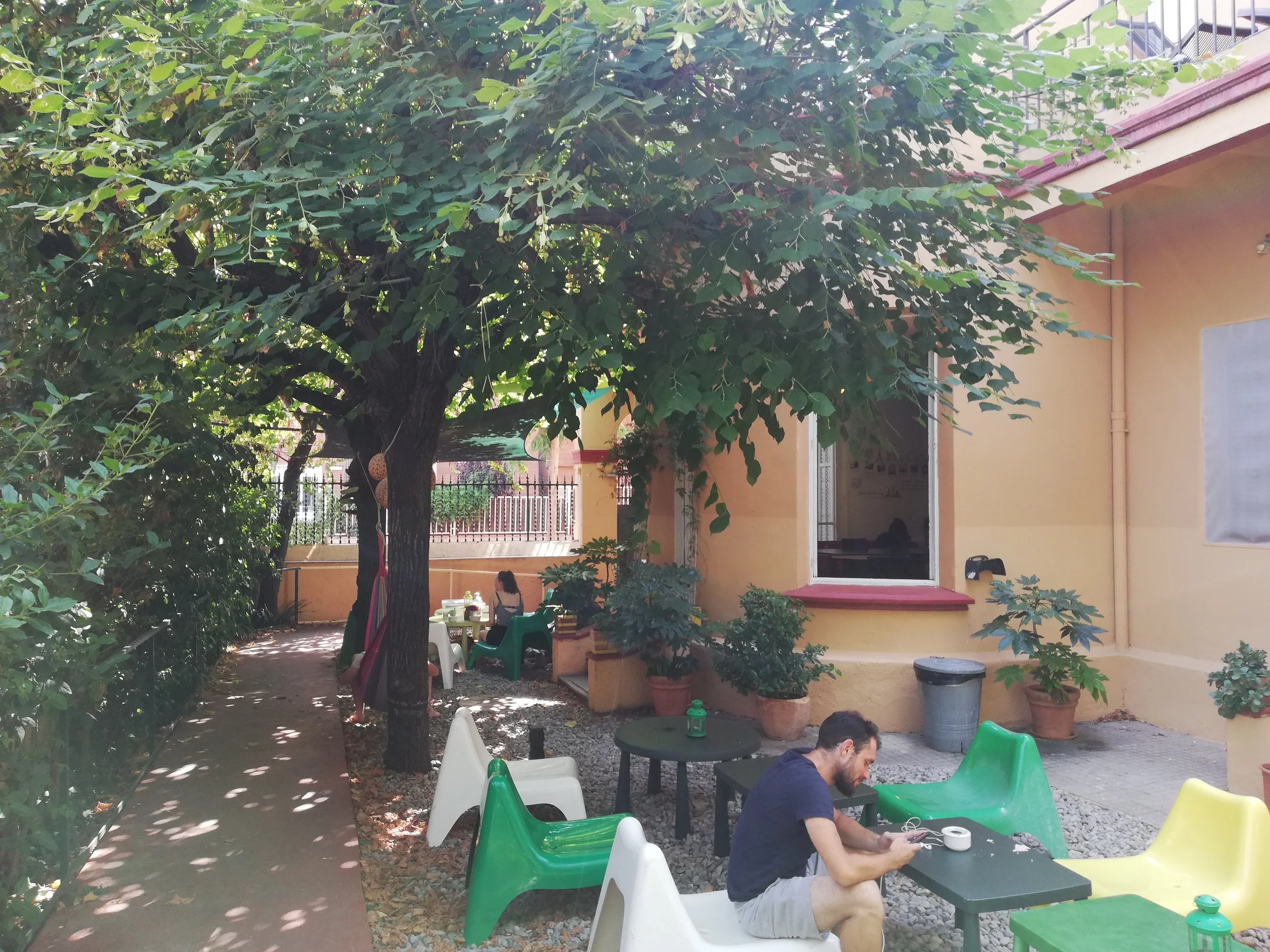 IMG_20190806_164553.jpg