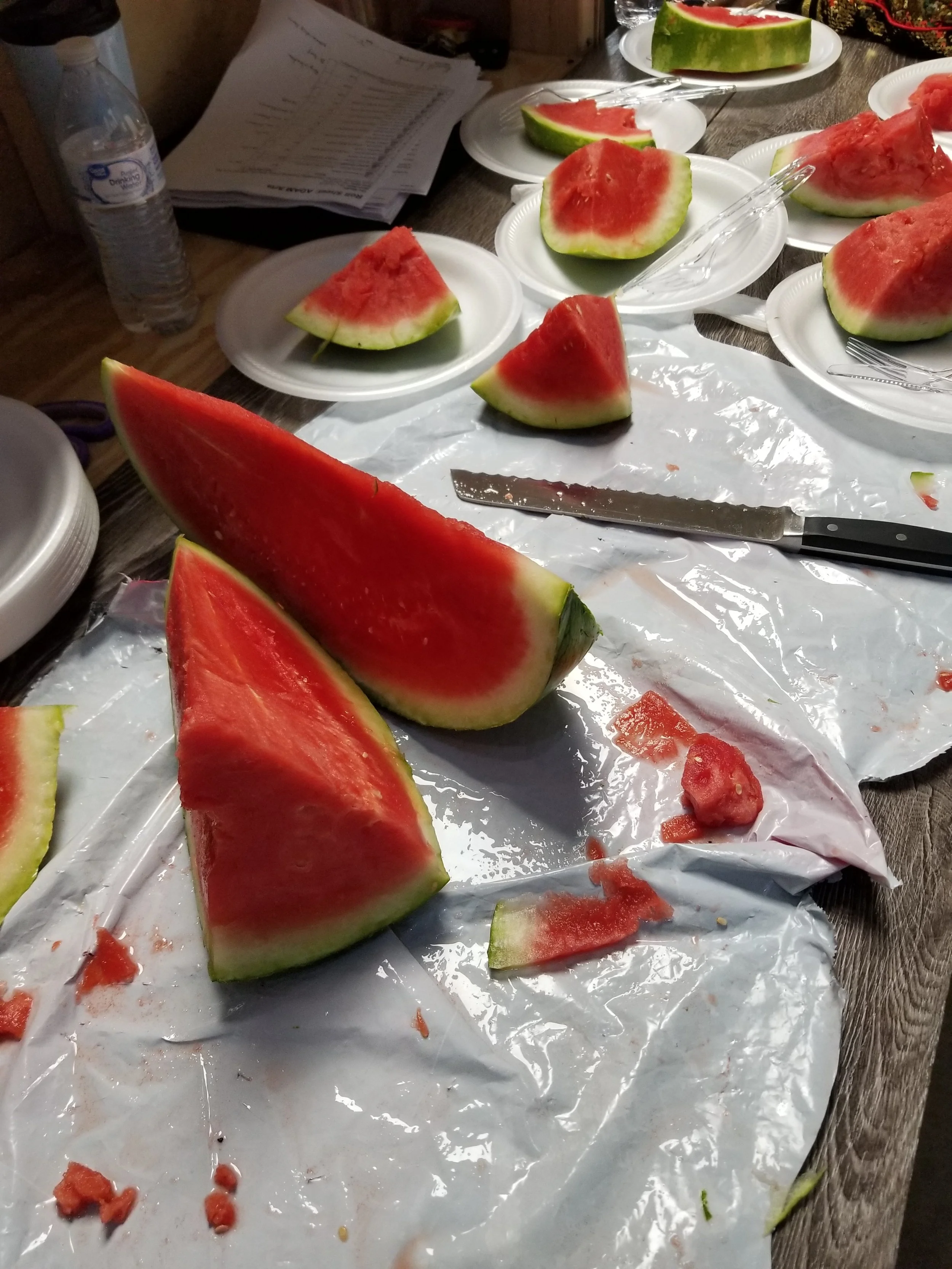 20190420_141023.jpg