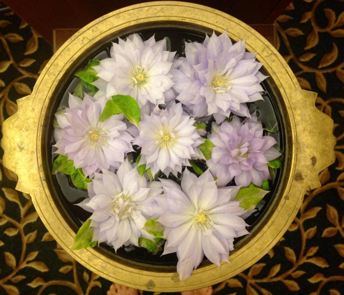 Sruti flowers.jpg