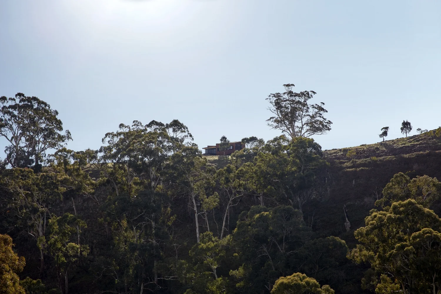 Oikos perched on the edge of the gorge.