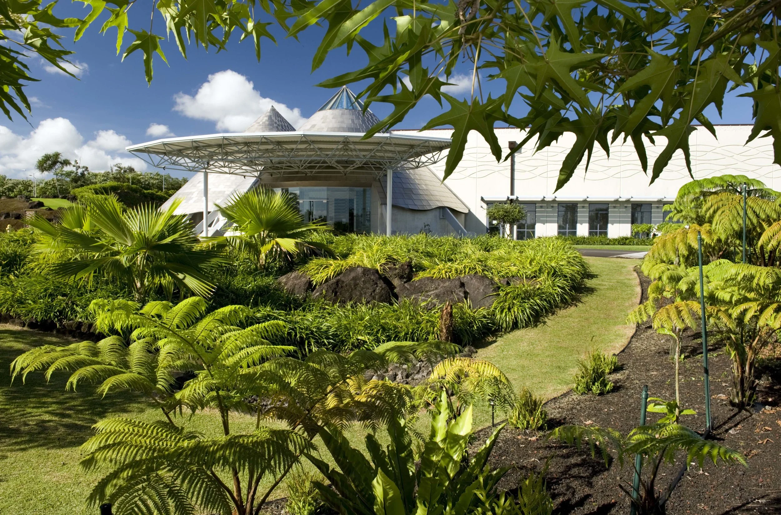 Branding Building.jpg