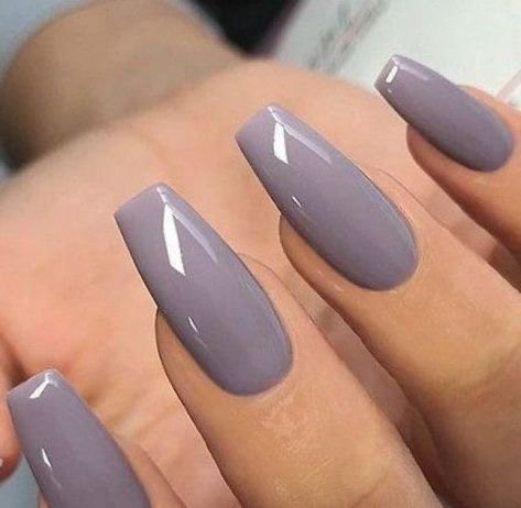 Lavender Grey
