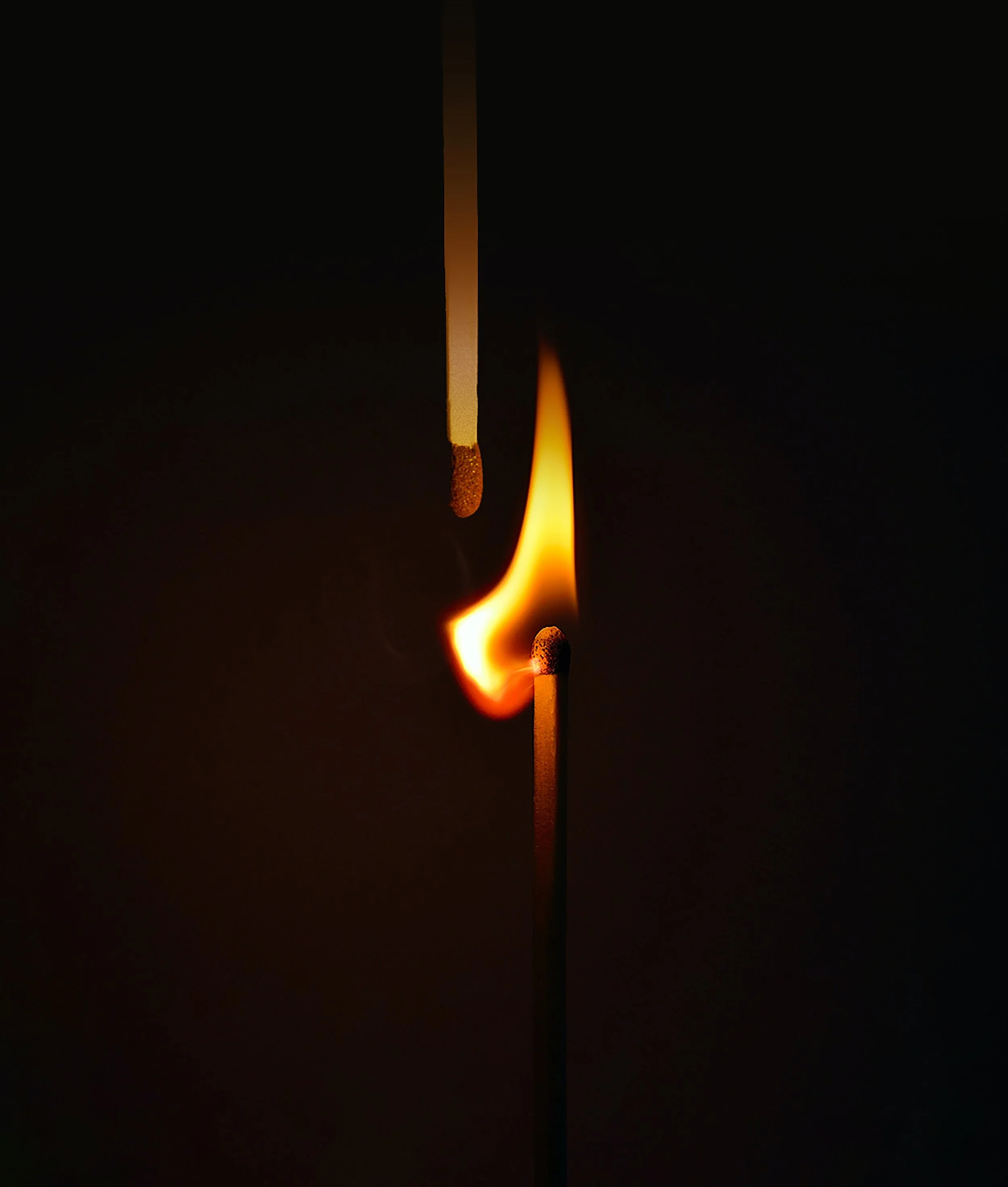 Love While the World is Burning