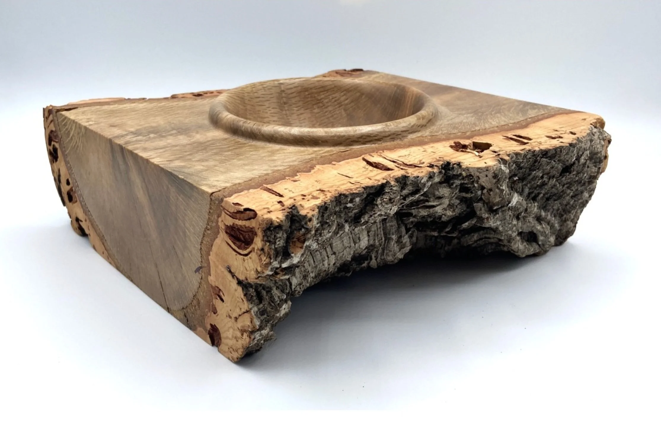 Cork oak emerging bowl (Copy)